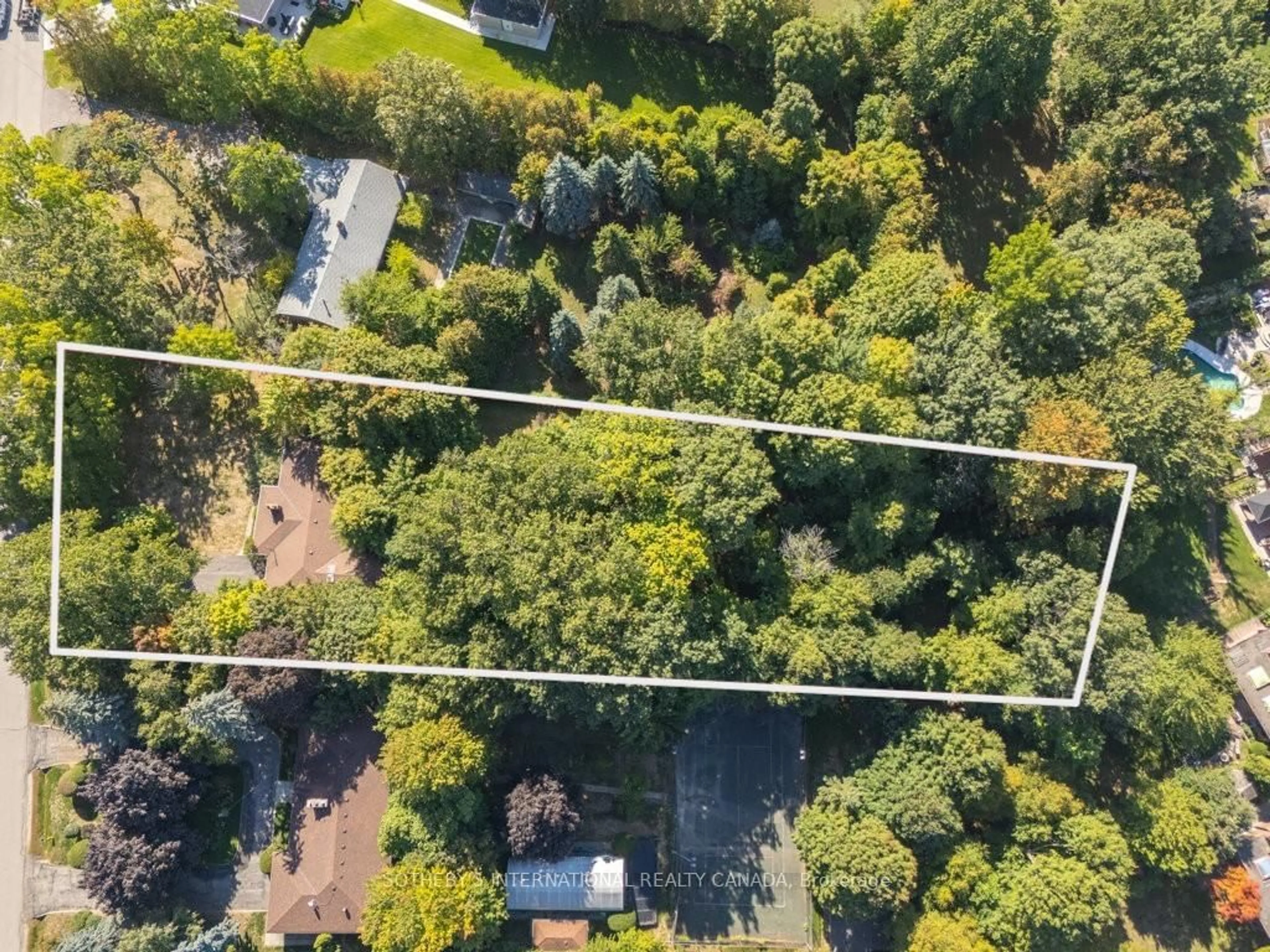 A pic from outside/outdoor area/front of a property/back of a property/a pic from drone, forest/trees view for 146 Sylvadene Pkwy, Vaughan Ontario L4L 2M6