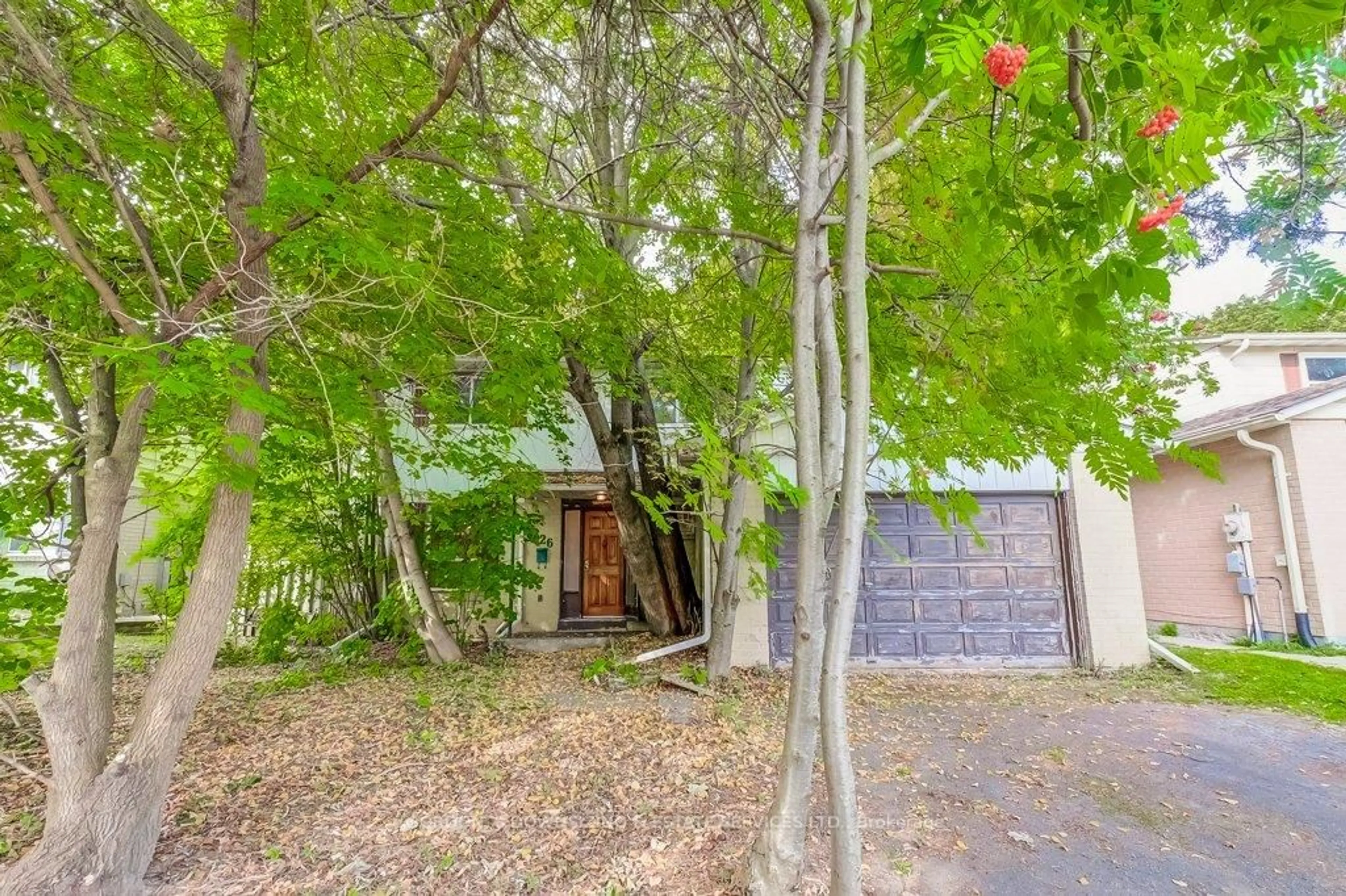 A pic from outside/outdoor area/front of a property/back of a property/a pic from drone, street for 526 Sandford St, Newmarket Ontario L3Y 5E3