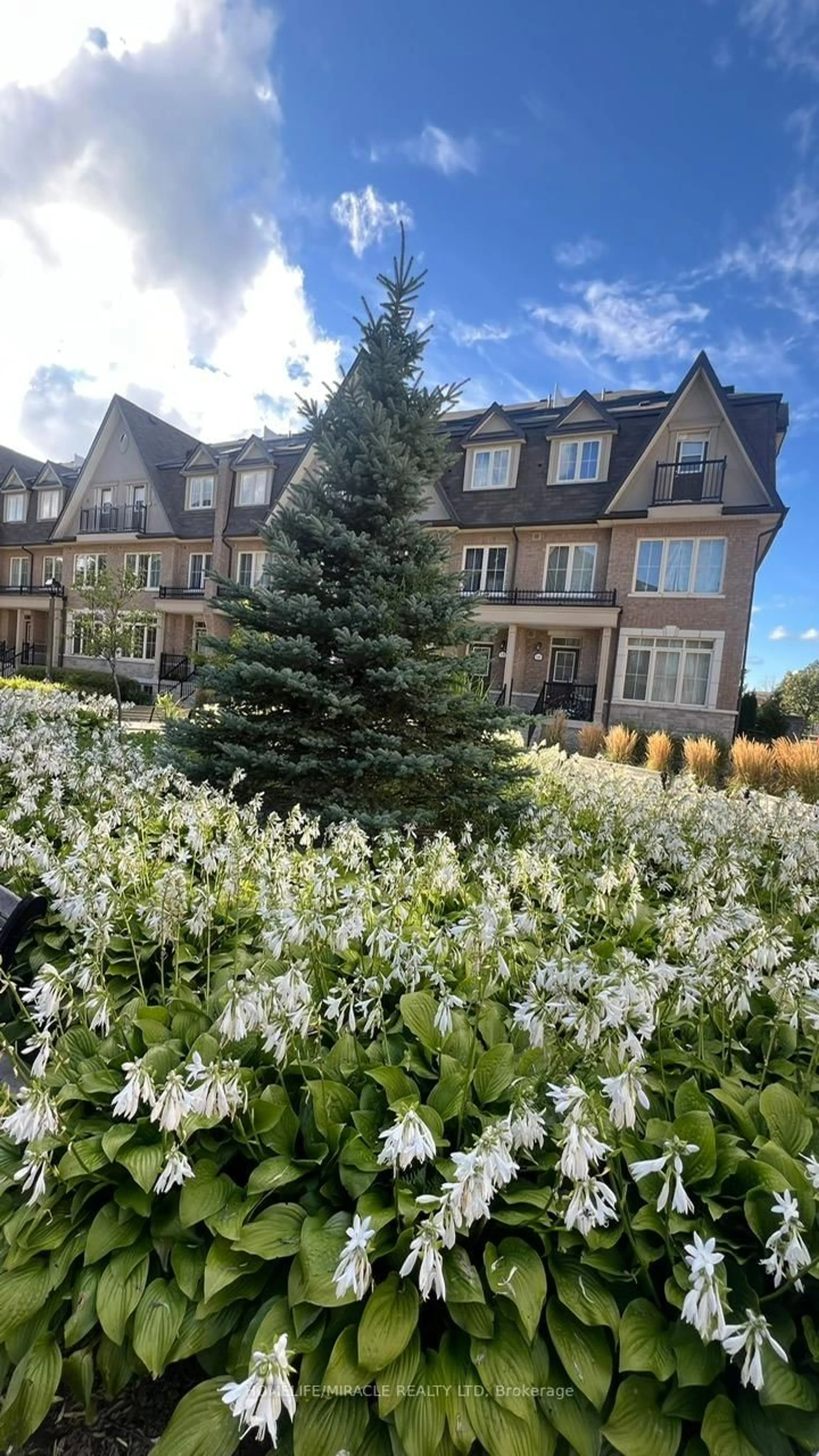 A pic from outside/outdoor area/front of a property/back of a property/a pic from drone, street for 181 Parktree Dr #33, Vaughan Ontario L6A 5B1