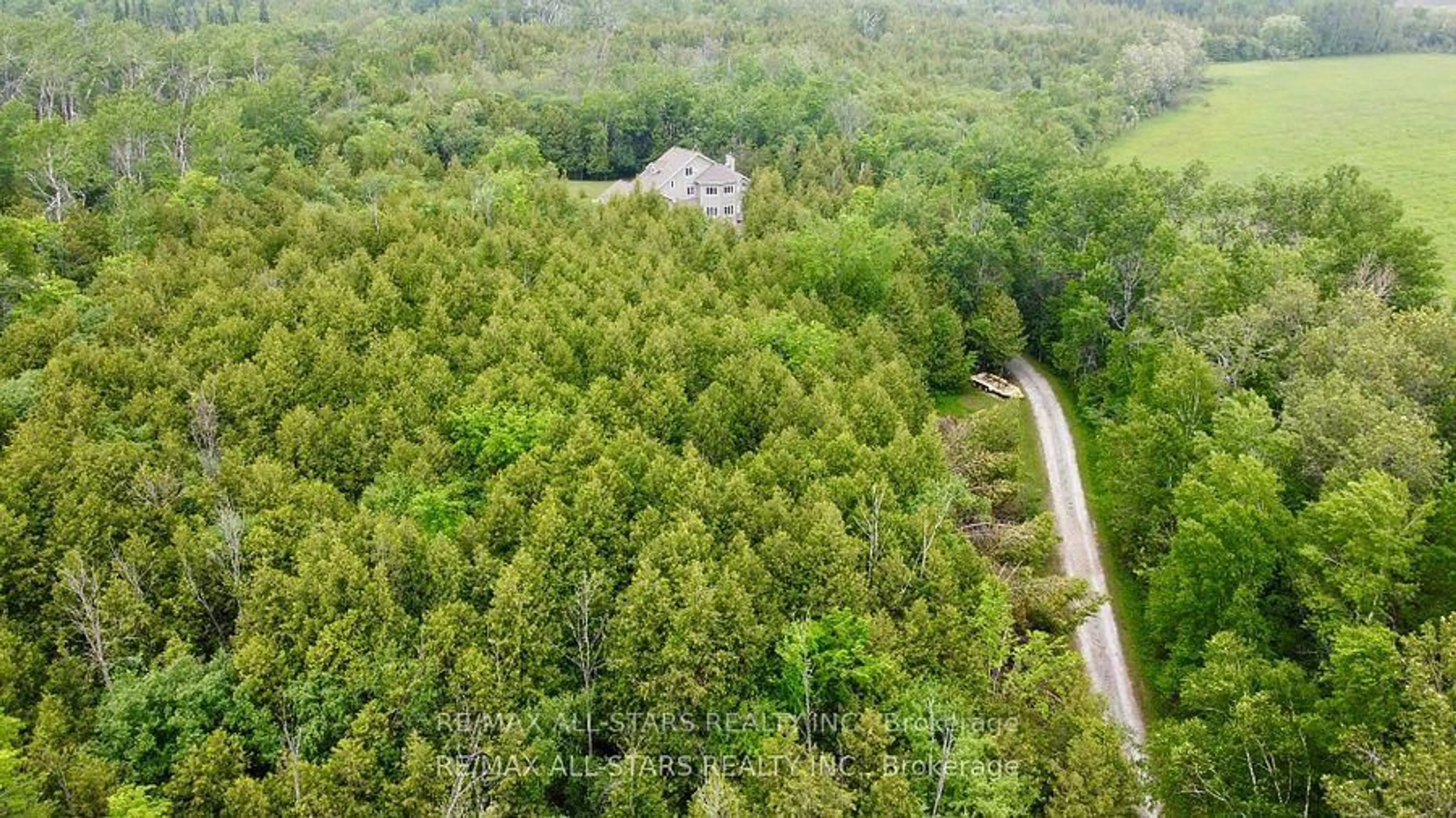 A pic from outside/outdoor area/front of a property/back of a property/a pic from drone, forest/trees view for 27352 Highway 48, Georgina Ontario L0E 1R0