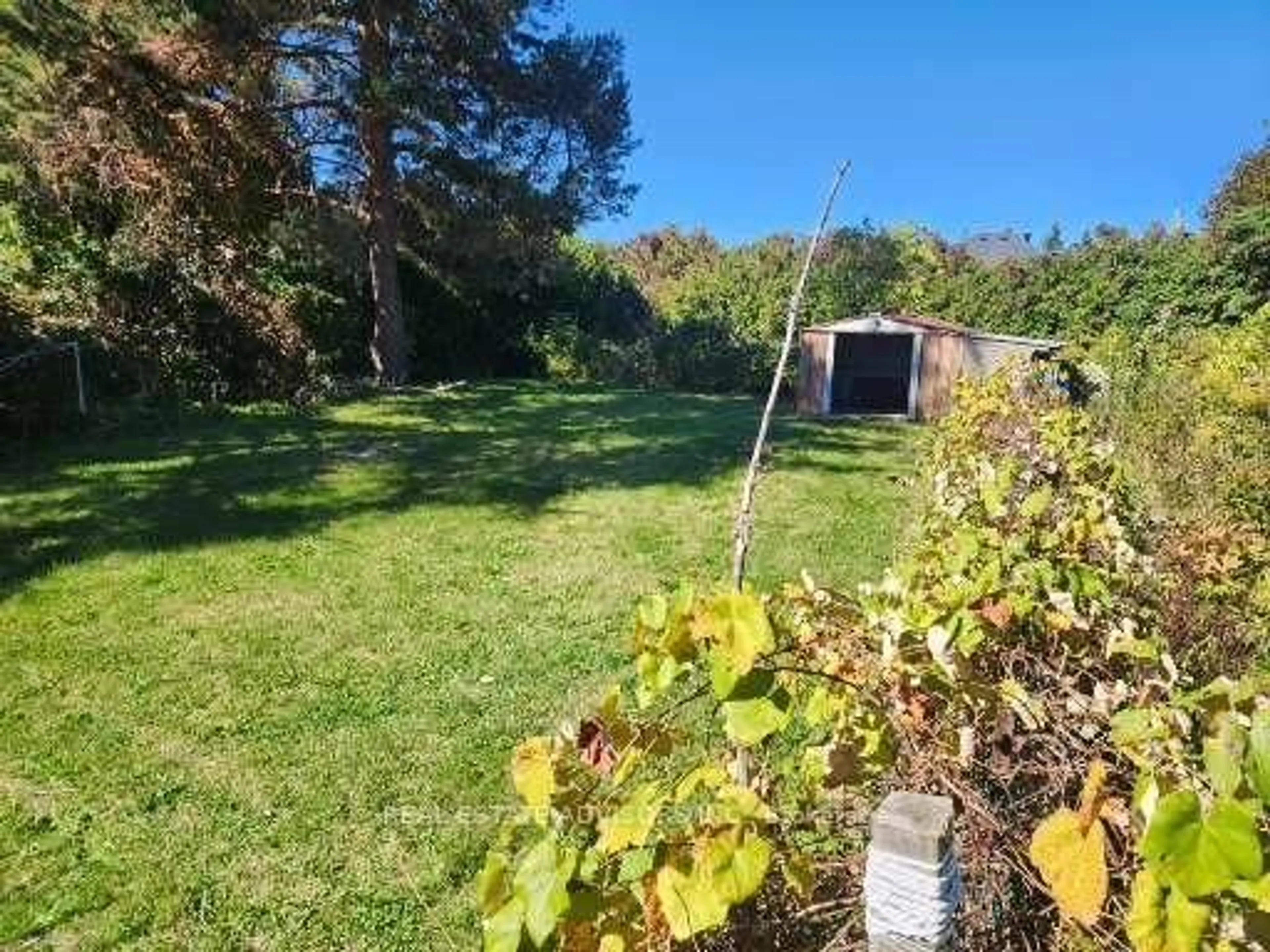 A pic from outside/outdoor area/front of a property/back of a property/a pic from drone, forest/trees view for 1035 Gorham St, Newmarket Ontario L3Y 5G9