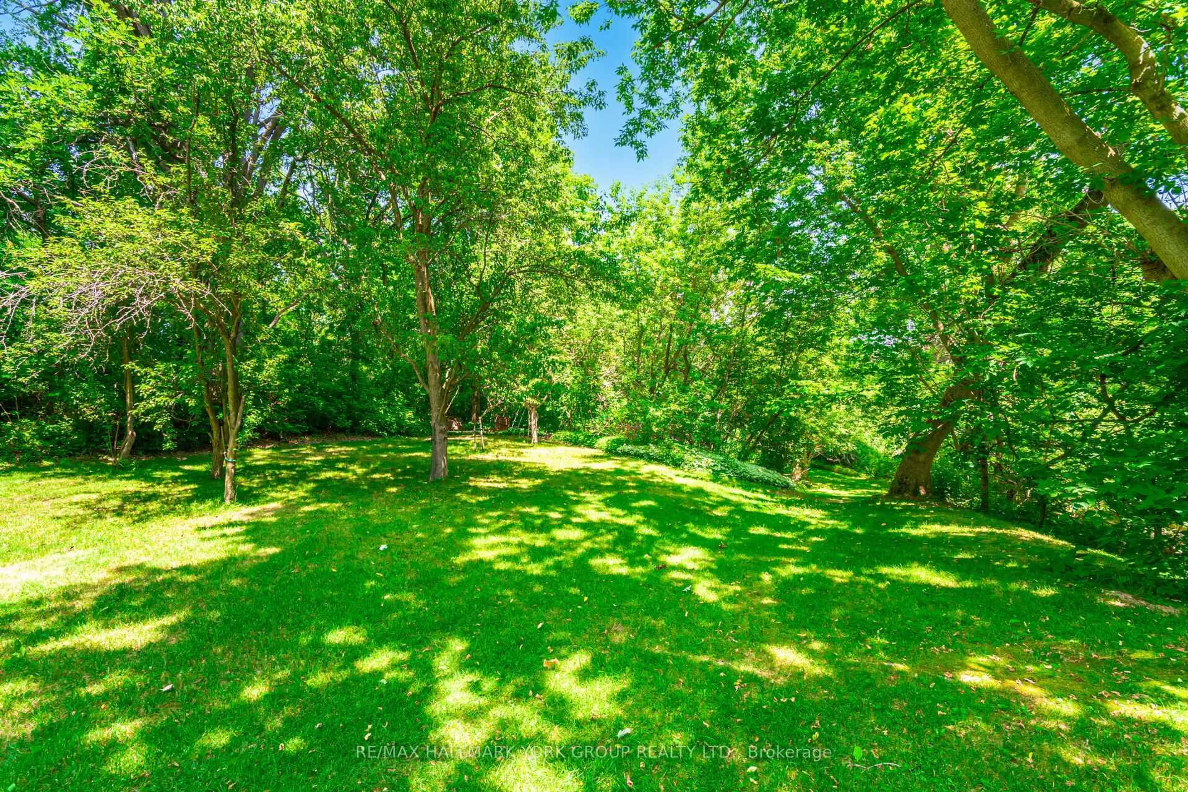 A pic from outside/outdoor area/front of a property/back of a property/a pic from drone, forest/trees view for 390 Main St, King Ontario L0G 1T0