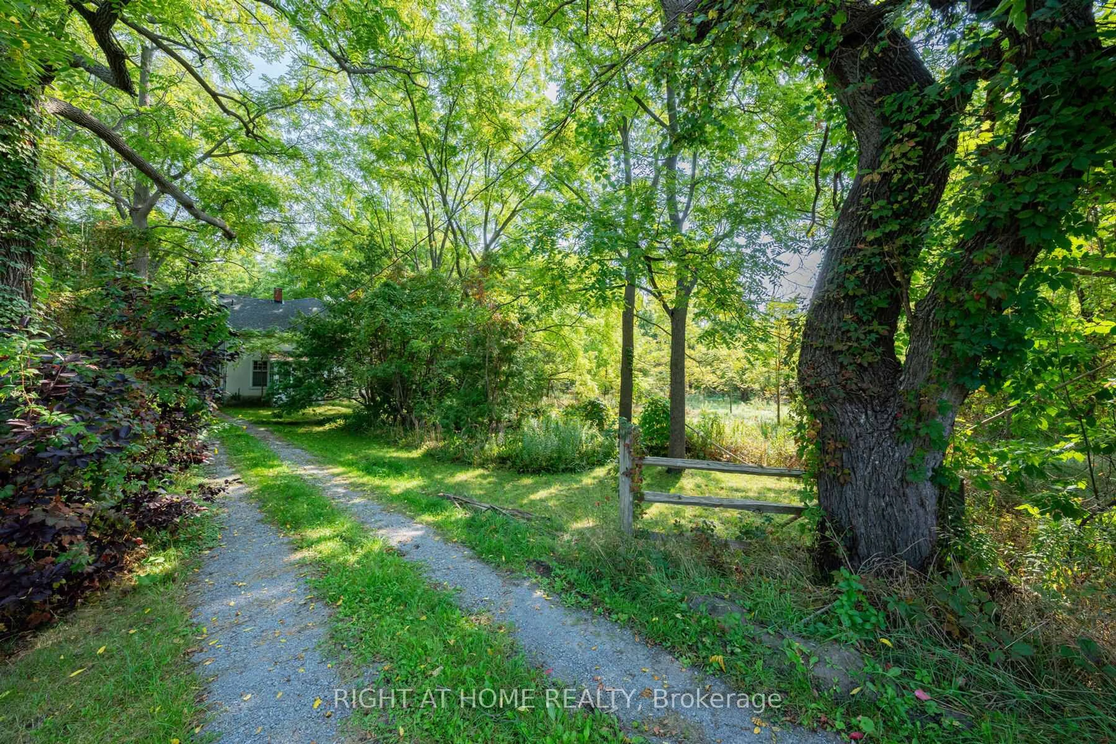 A pic from outside/outdoor area/front of a property/back of a property/a pic from drone, forest/trees view for 315 Main St, Newmarket Ontario L3Y 9A9