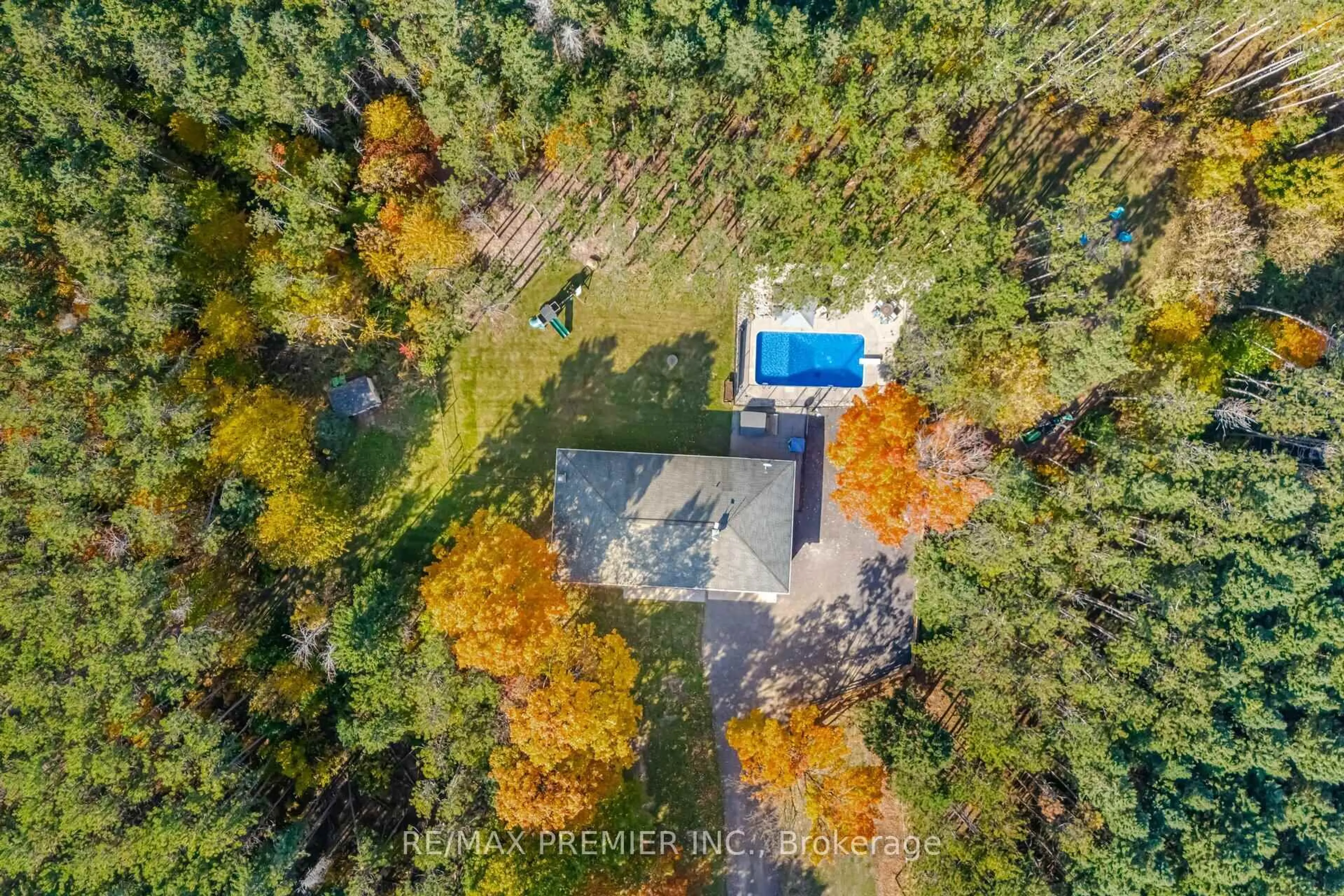 A pic from outside/outdoor area/front of a property/back of a property/a pic from drone, forest/trees view for 4904 10th Sdrd, Essa Ontario L0L 2N0