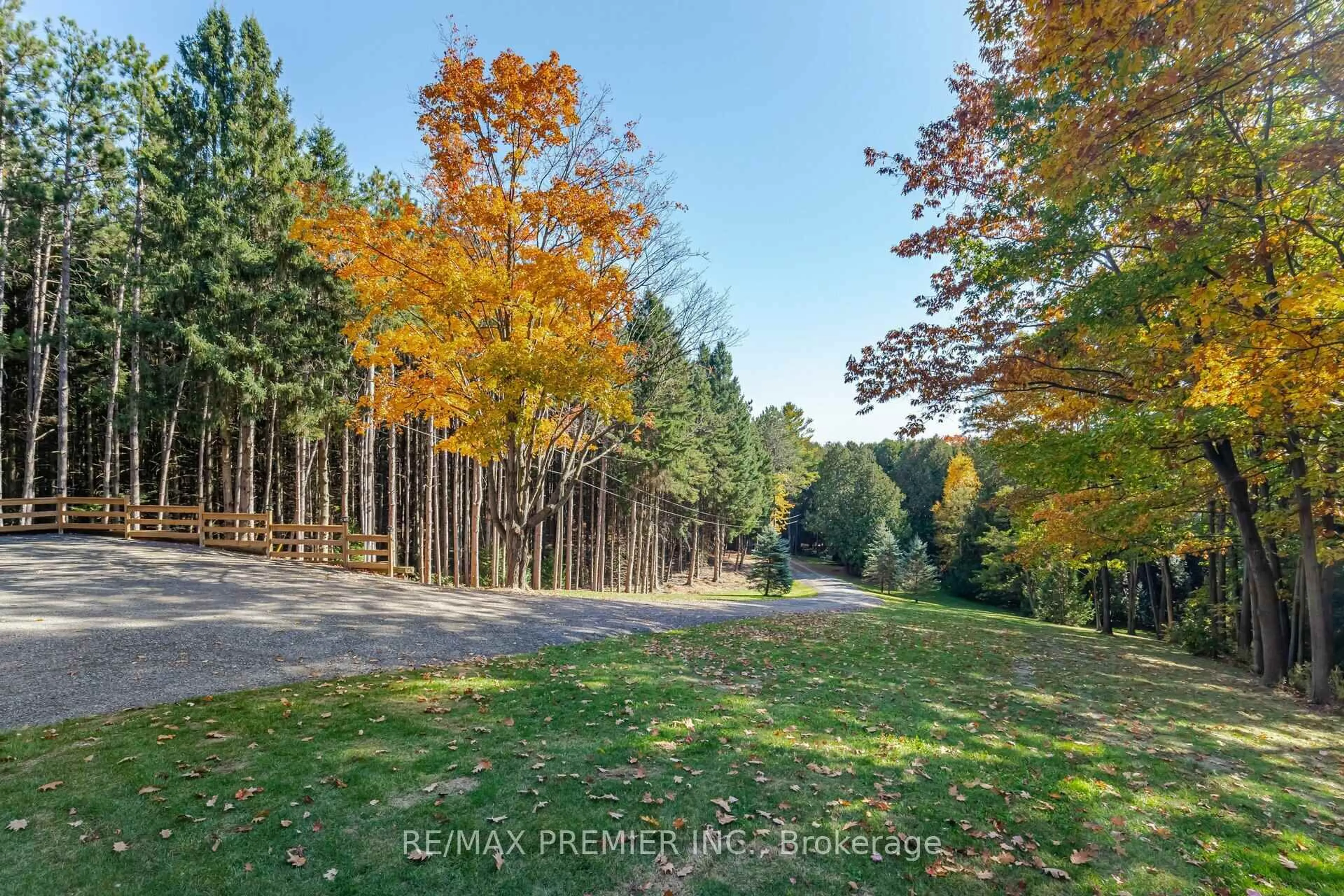 A pic from outside/outdoor area/front of a property/back of a property/a pic from drone, forest/trees view for 4904 10th Sdrd, Essa Ontario L0L 2N0