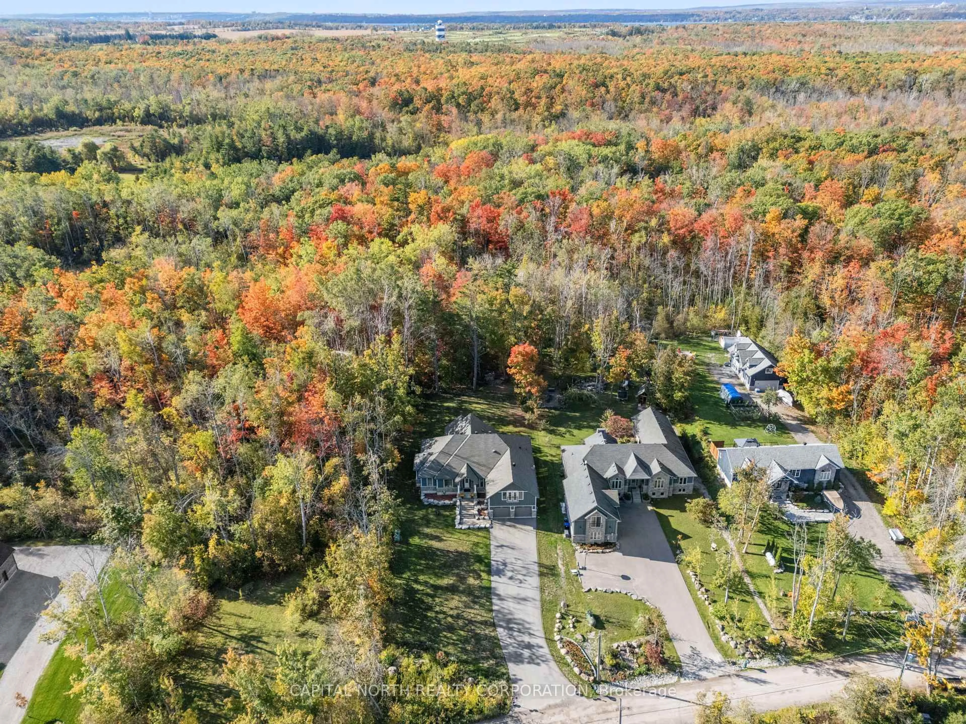 A pic from outside/outdoor area/front of a property/back of a property/a pic from drone, forest/trees view for 3496 Crescent Harbour Rd, Innisfil Ontario L9S 2Y8