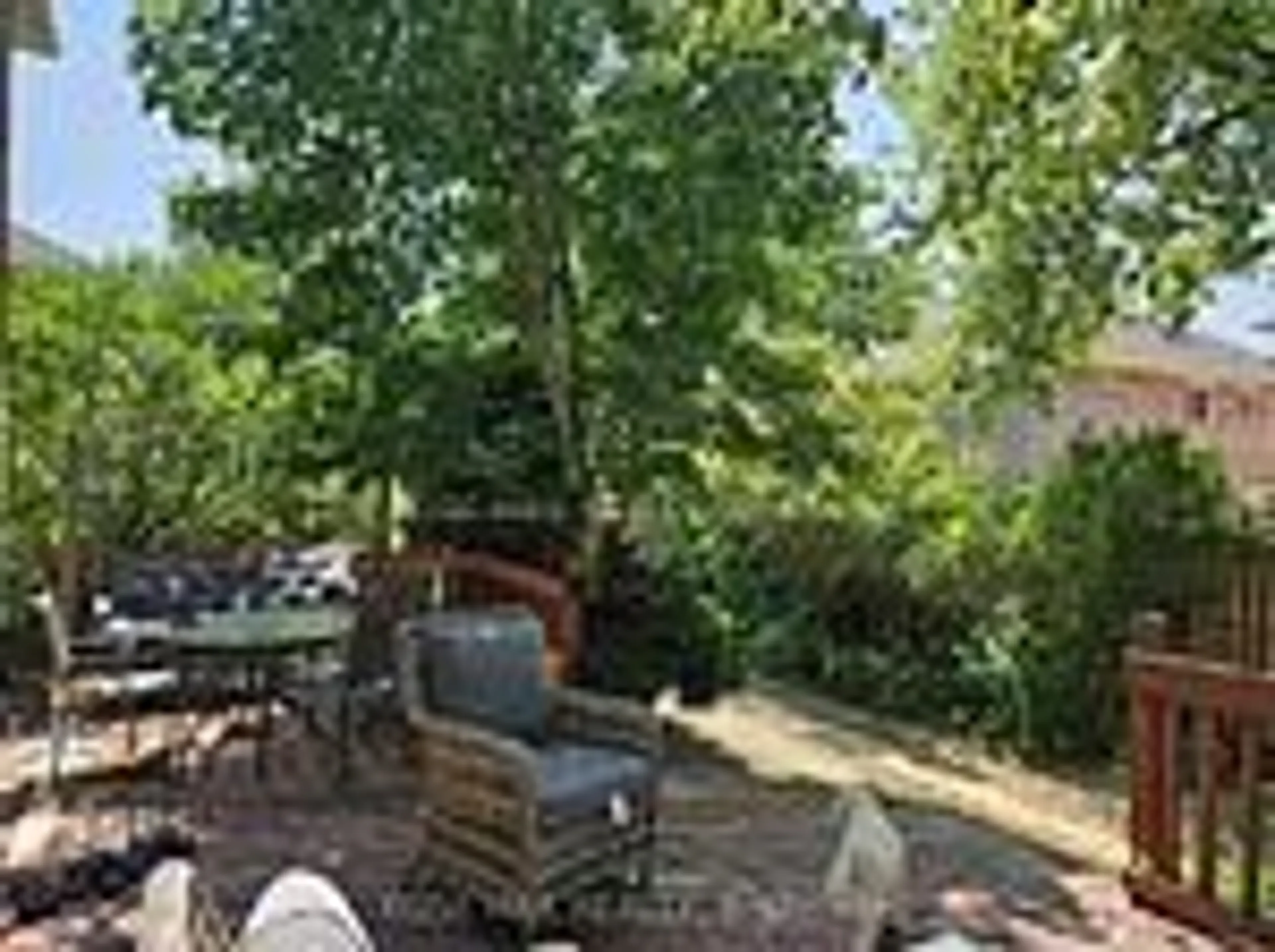 Patio, forest/trees view for 97 Stave Cres, Richmond Hill Ontario L4C 9J2