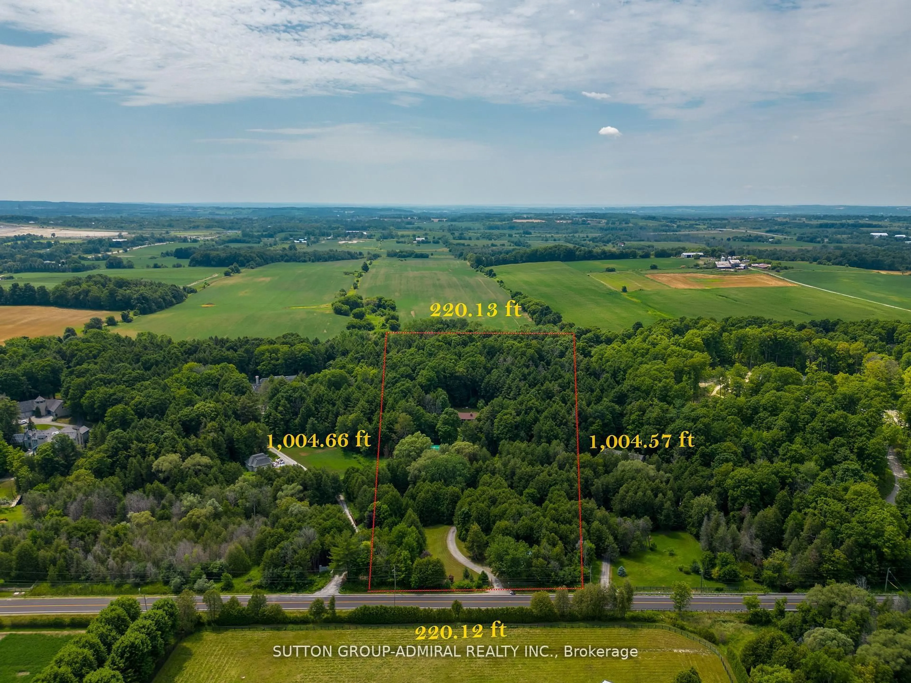 A pic from outside/outdoor area/front of a property/back of a property/a pic from drone, forest/trees view for 19246 Warden Ave, East Gwillimbury Ontario L0G 1R0