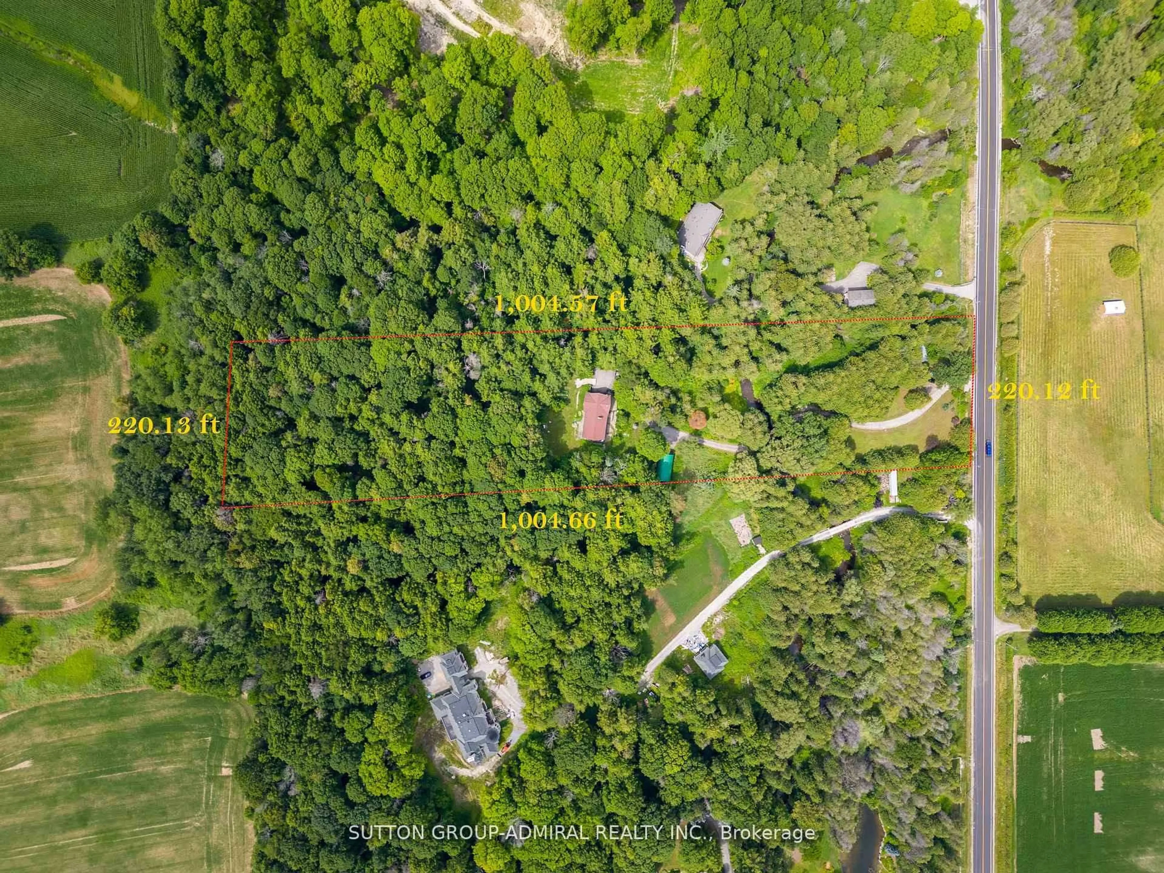 A pic from outside/outdoor area/front of a property/back of a property/a pic from drone, forest/trees view for 19246 Warden Ave, East Gwillimbury Ontario L0G 1R0