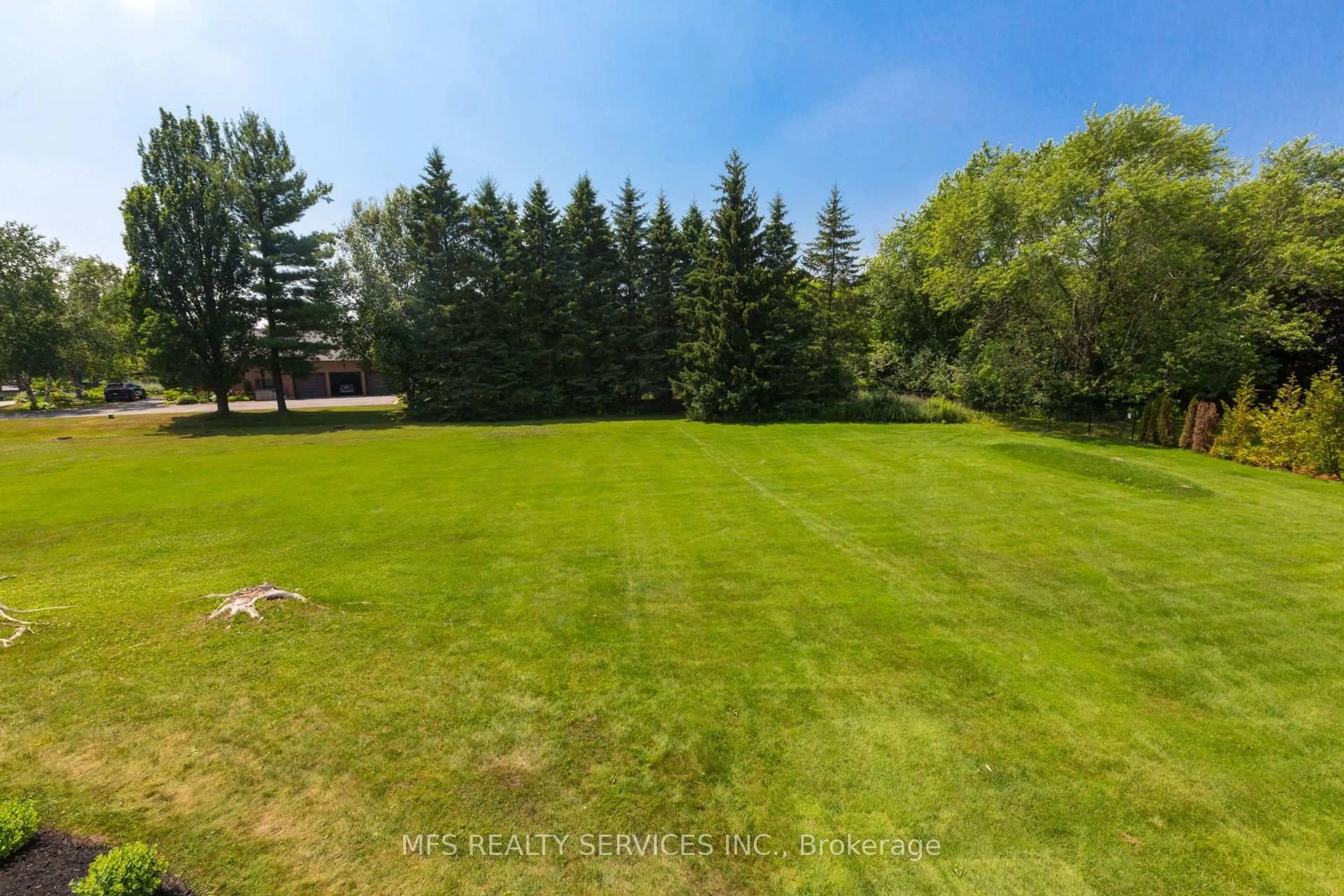 A pic from outside/outdoor area/front of a property/back of a property/a pic from drone, forest/trees view for 8 Marilyn Ave, Whitchurch-Stouffville Ontario L0H 1G0