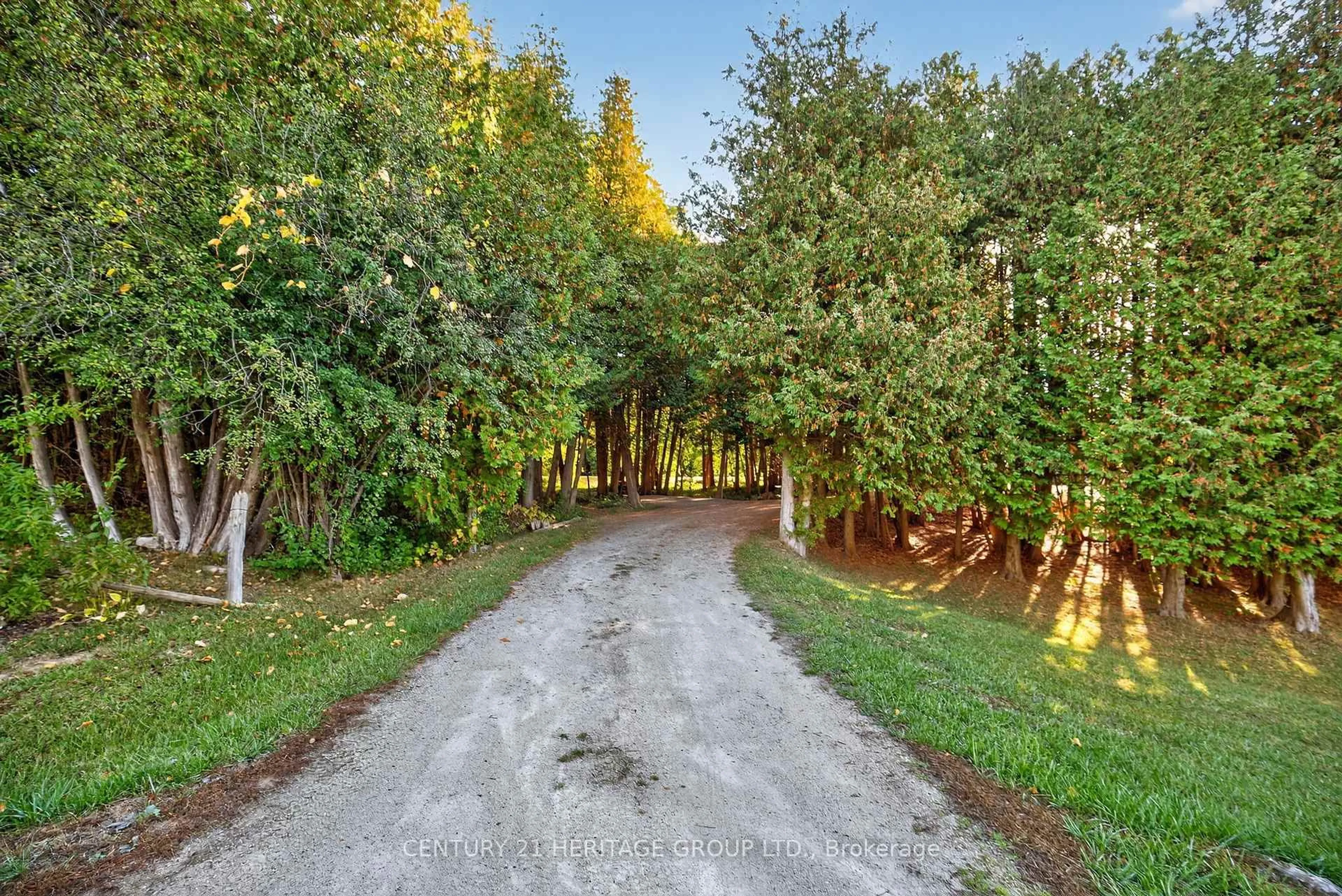 A pic from outside/outdoor area/front of a property/back of a property/a pic from drone, forest/trees view for 7 Margaret Ave, Adjala-Tosorontio Ontario L0M 1J0