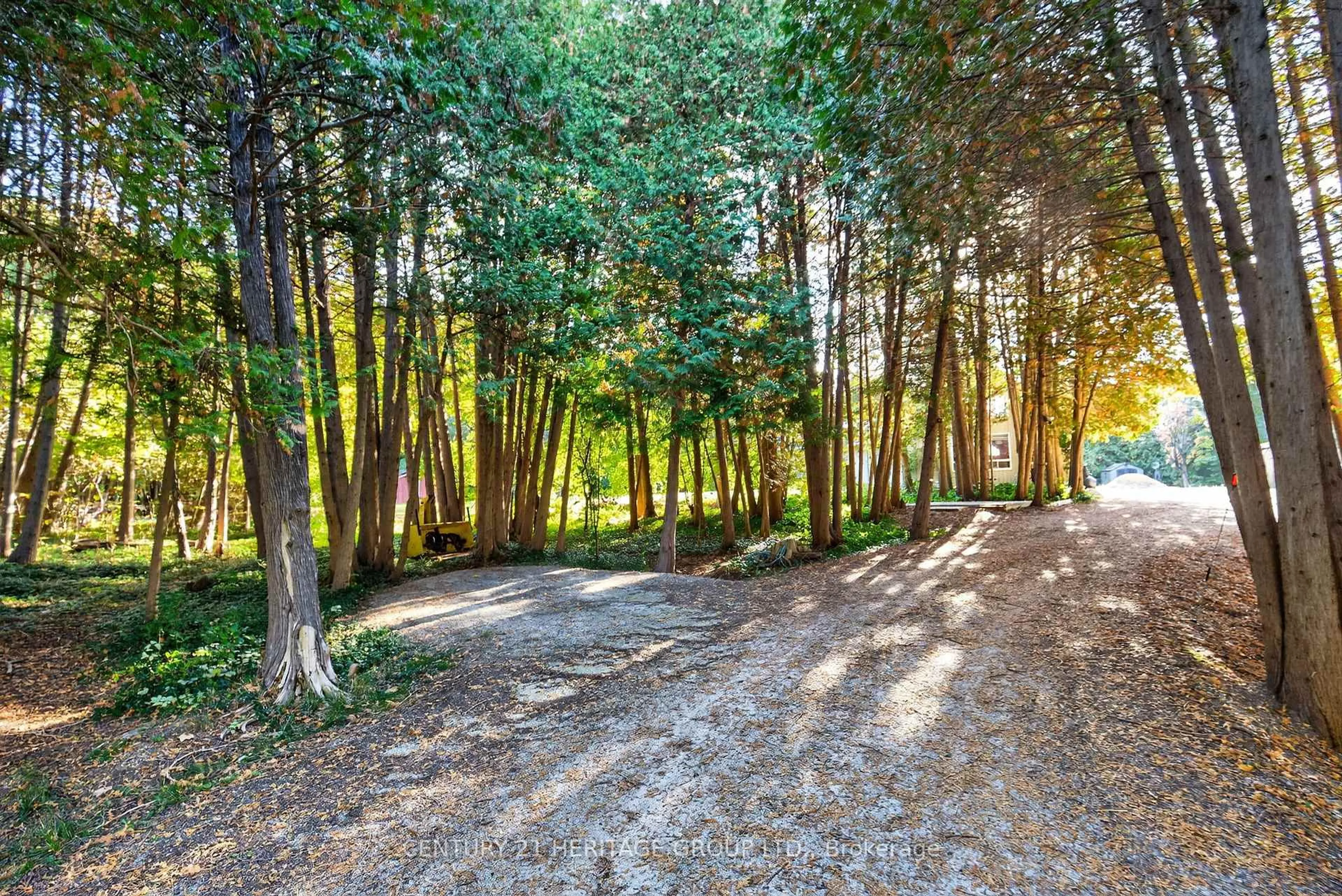 Patio, forest/trees view for 7 Margaret Ave, Adjala-Tosorontio Ontario L0M 1J0
