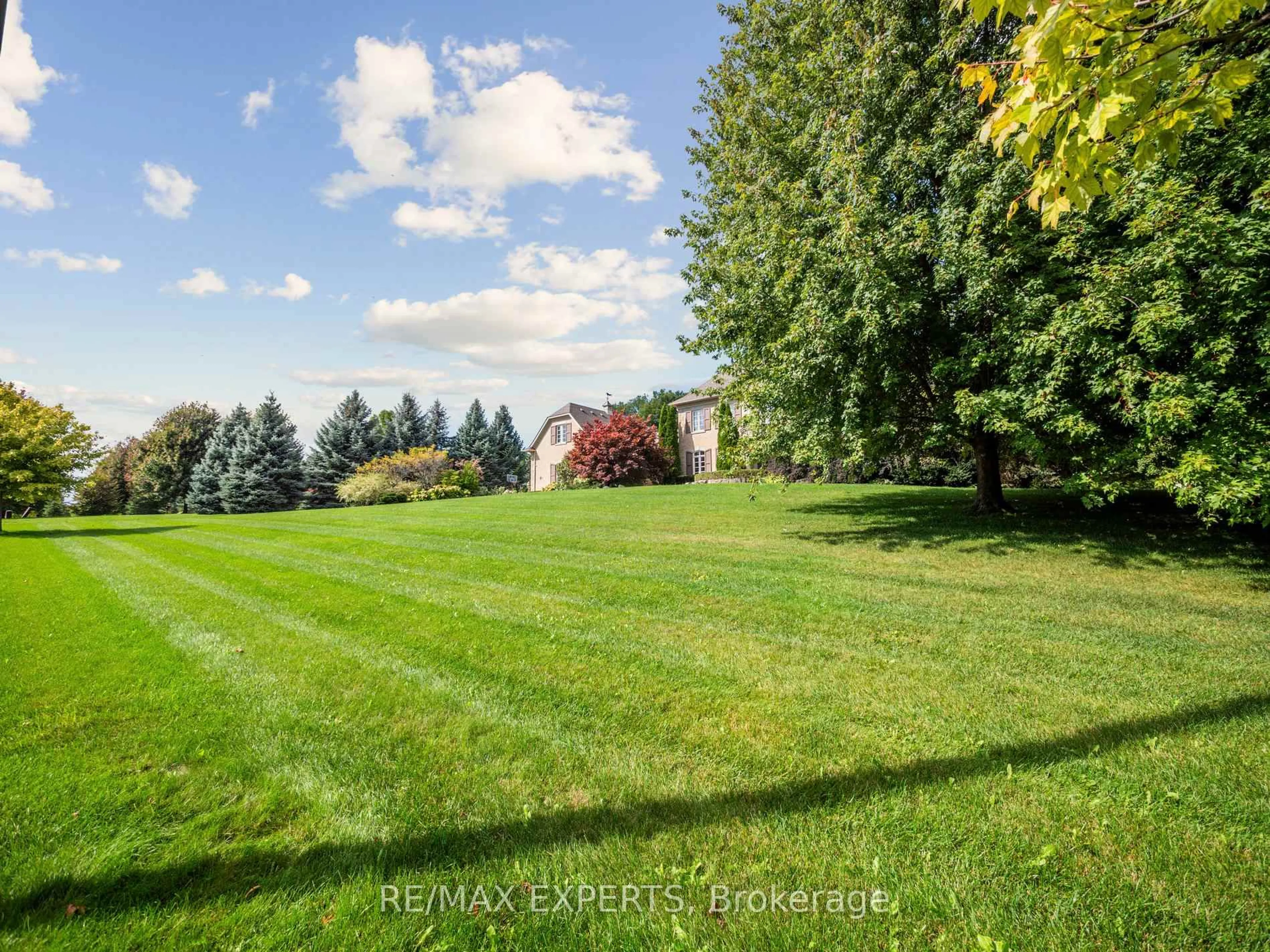 A pic from outside/outdoor area/front of a property/back of a property/a pic from drone, forest/trees view for 105 Eden Vale Dr, King Ontario L7B 1L9