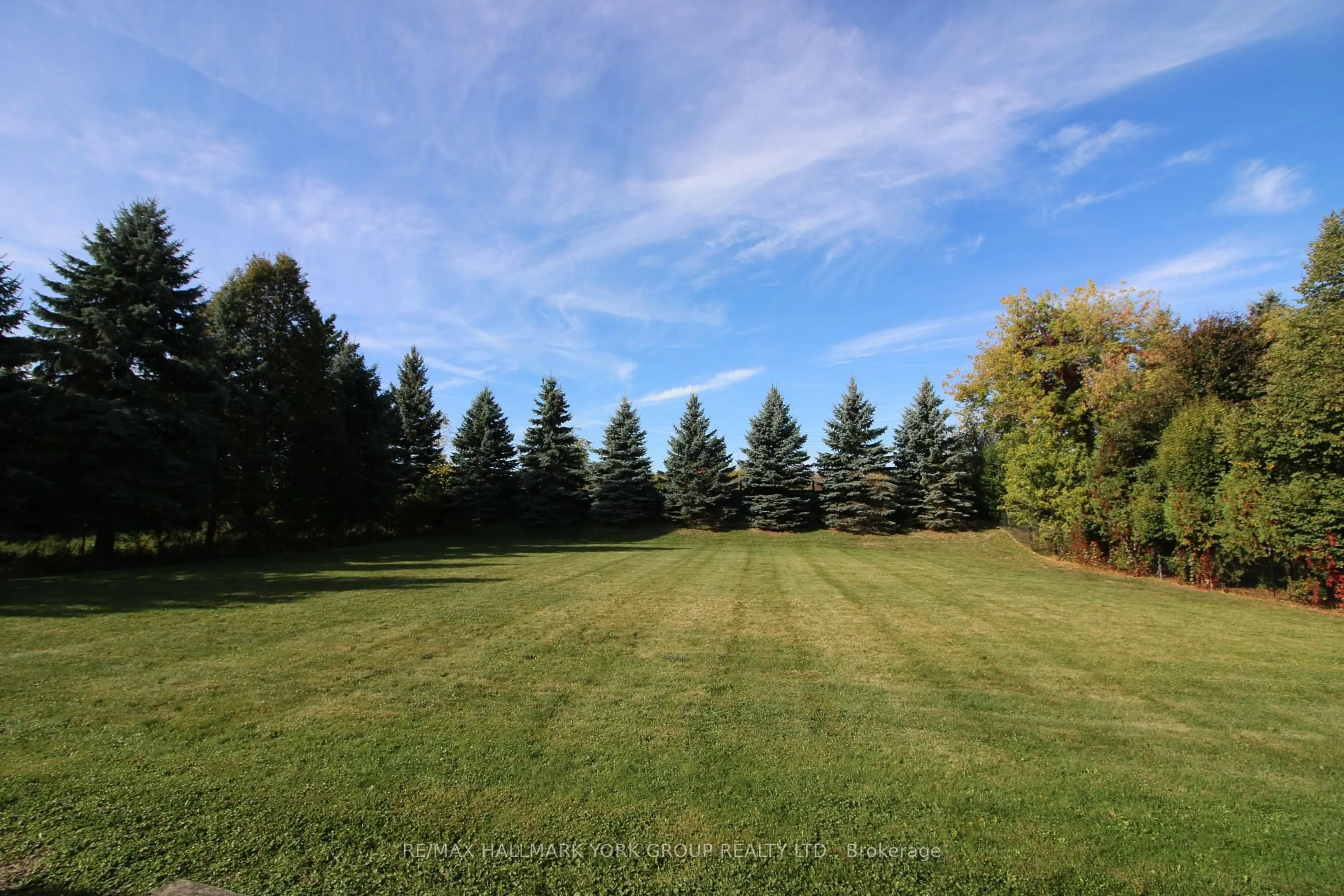 A pic from outside/outdoor area/front of a property/back of a property/a pic from drone, forest/trees view for 175 Treegrove Circ, Aurora Ontario L4G 6M1