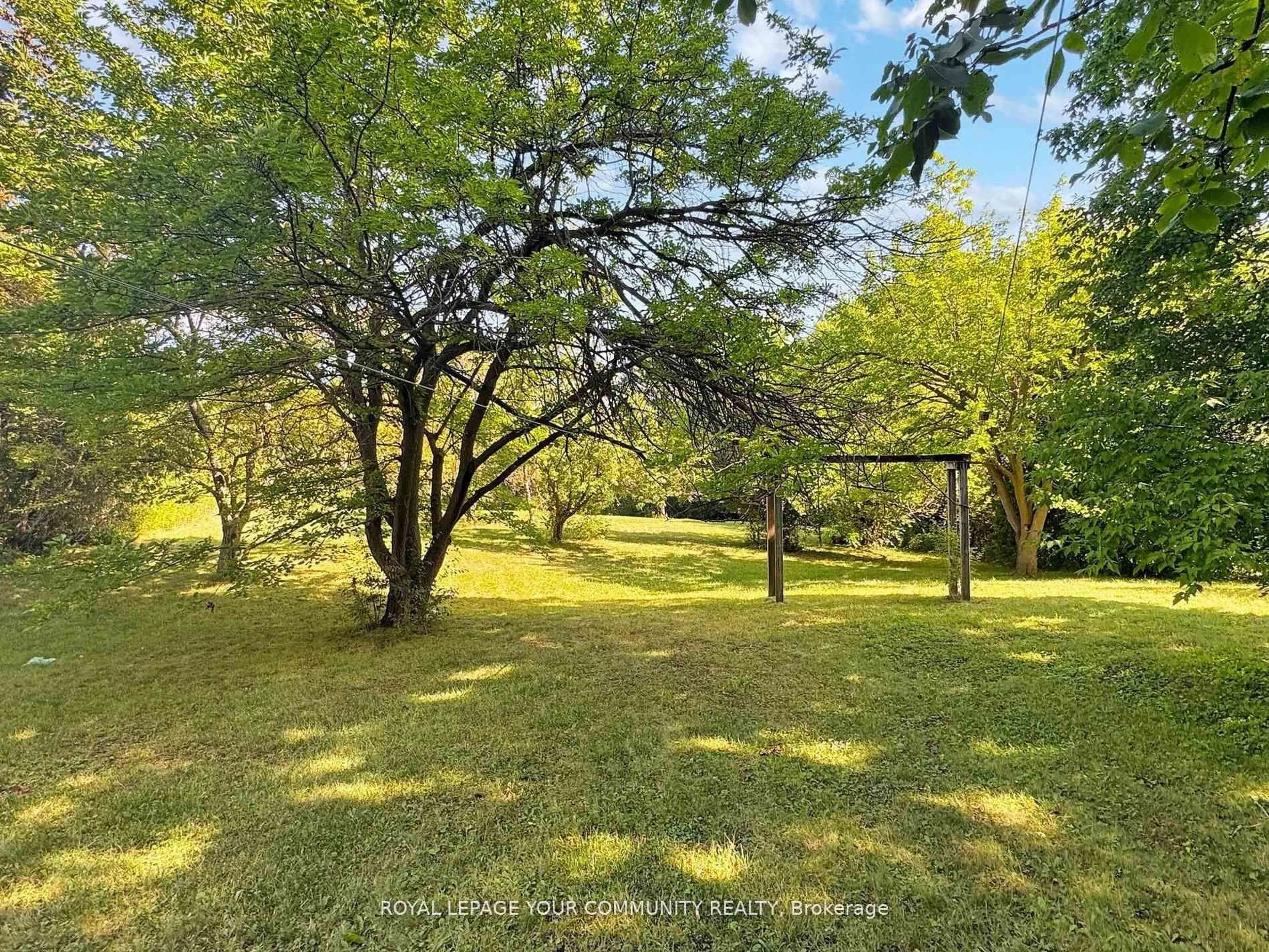 A pic from outside/outdoor area/front of a property/back of a property/a pic from drone, forest/trees view for 29 Boyle Dr, Richmond Hill Ontario L4C 6C8