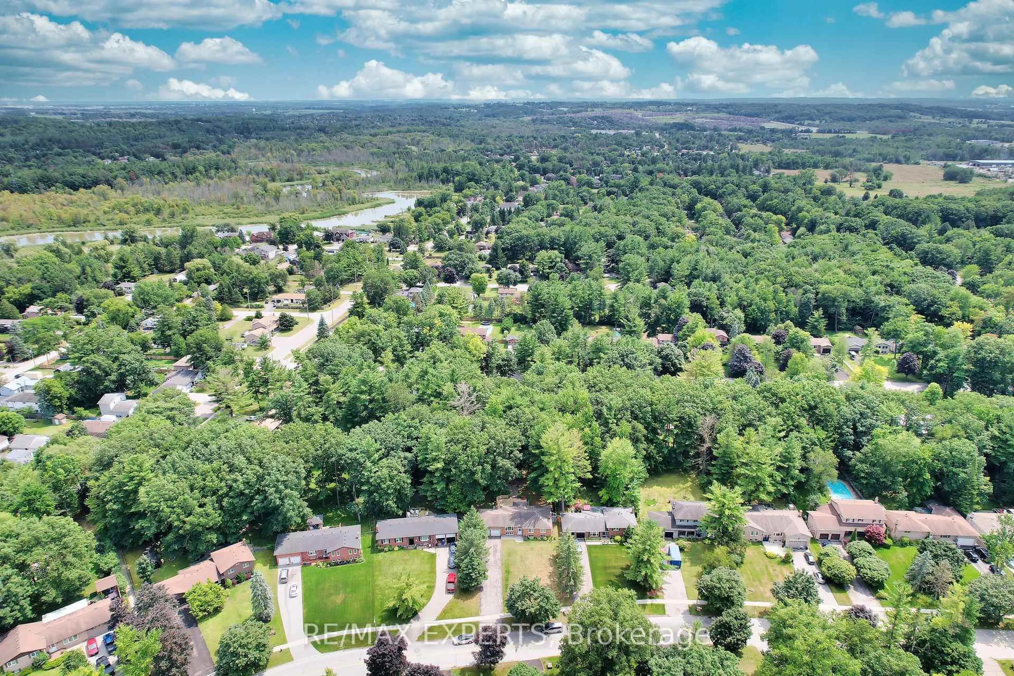 A pic from outside/outdoor area/front of a property/back of a property/a pic from drone, forest/trees view for 203 Park Ave, East Gwillimbury Ontario L9N 1J7