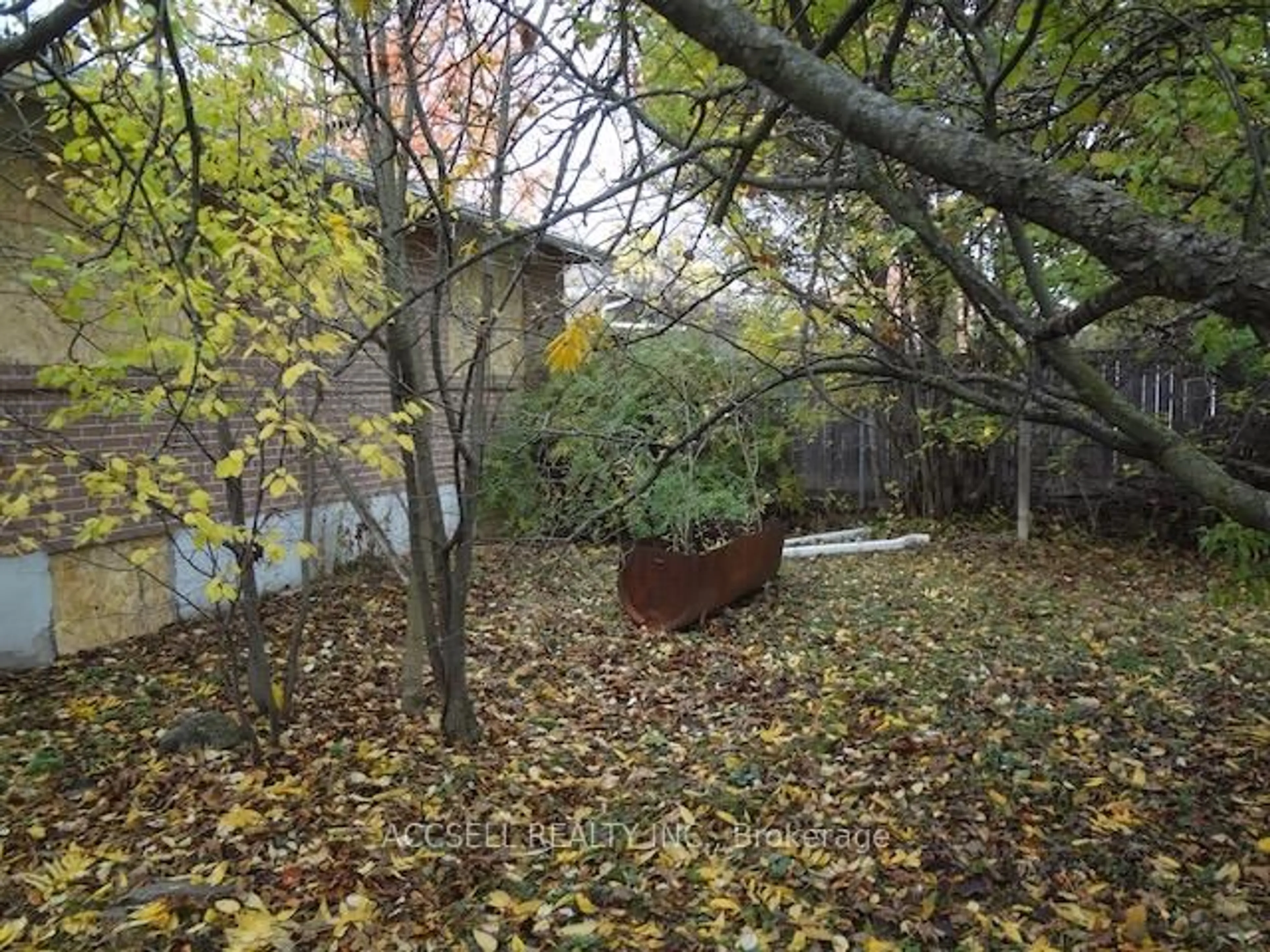 A pic from outside/outdoor area/front of a property/back of a property/a pic from drone, forest/trees view for 141 Harrison Dr, Newmarket Ontario L3Y 4P5