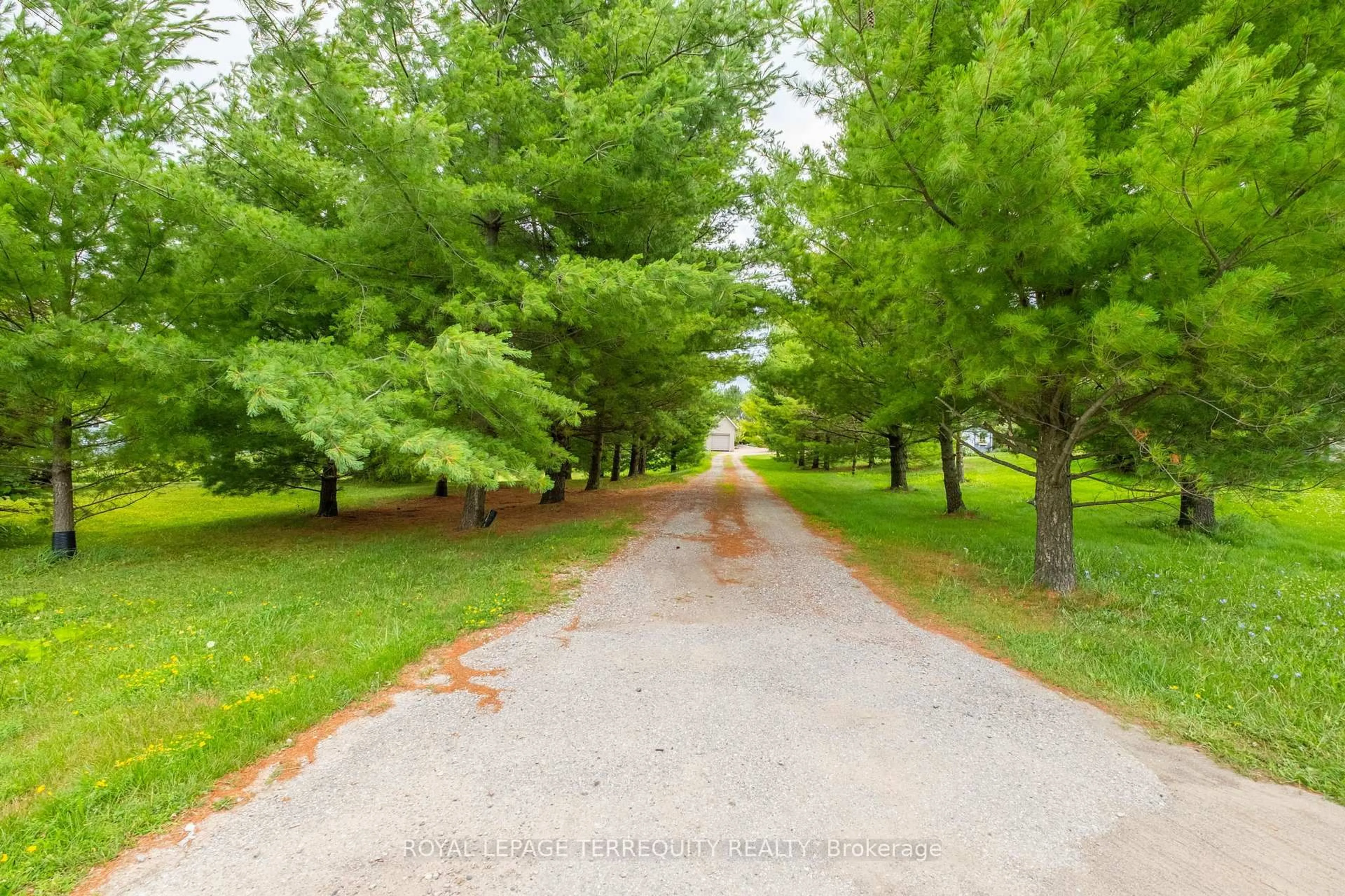 Patio, forest/trees view for 1041 15th Side Rd, New Tecumseth Ontario L0G 1T0