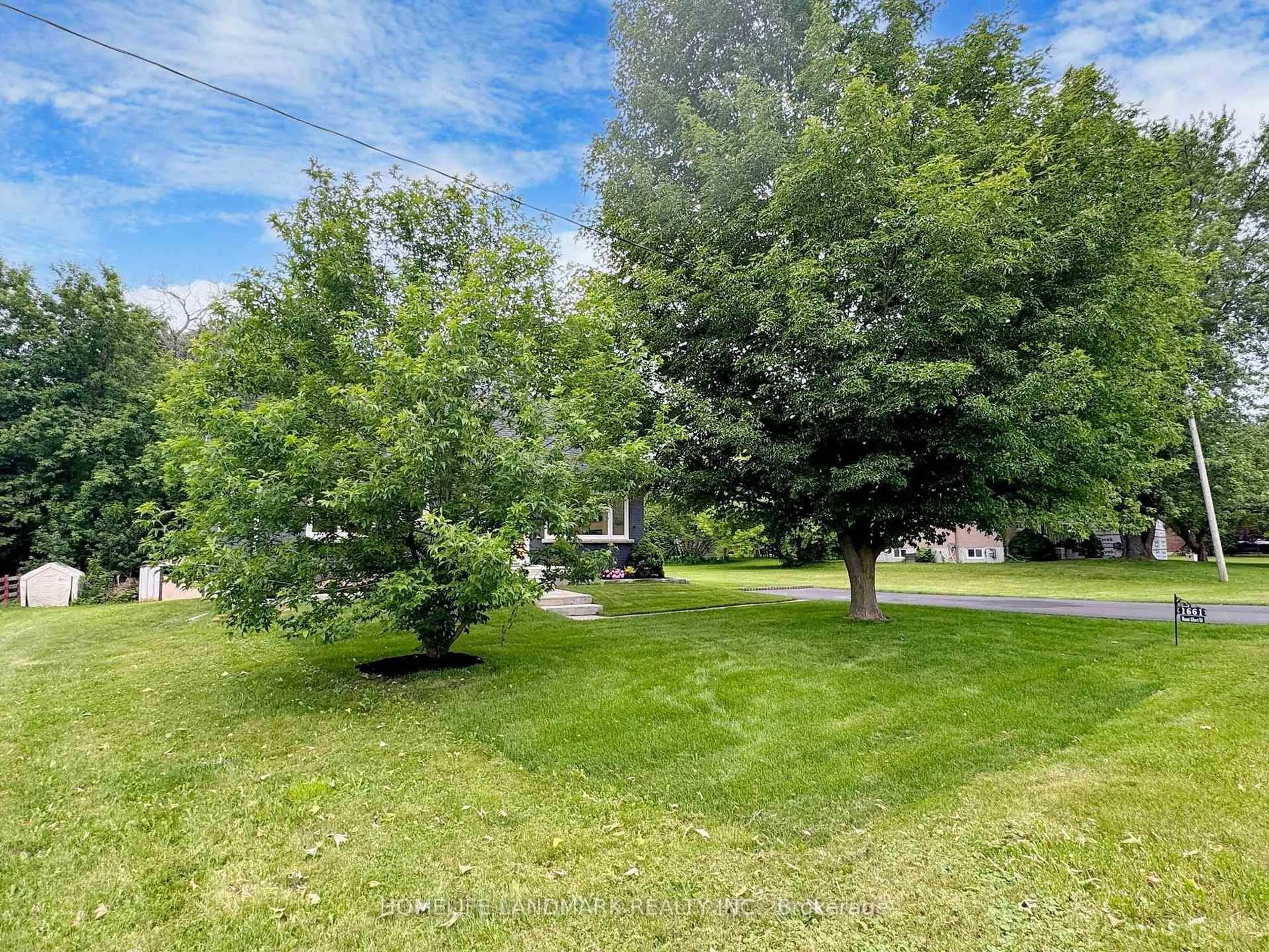 A pic from outside/outdoor area/front of a property/back of a property/a pic from drone, forest/trees view for 1661 Mount Albert Rd, East Gwillimbury Ontario L0G 1V0