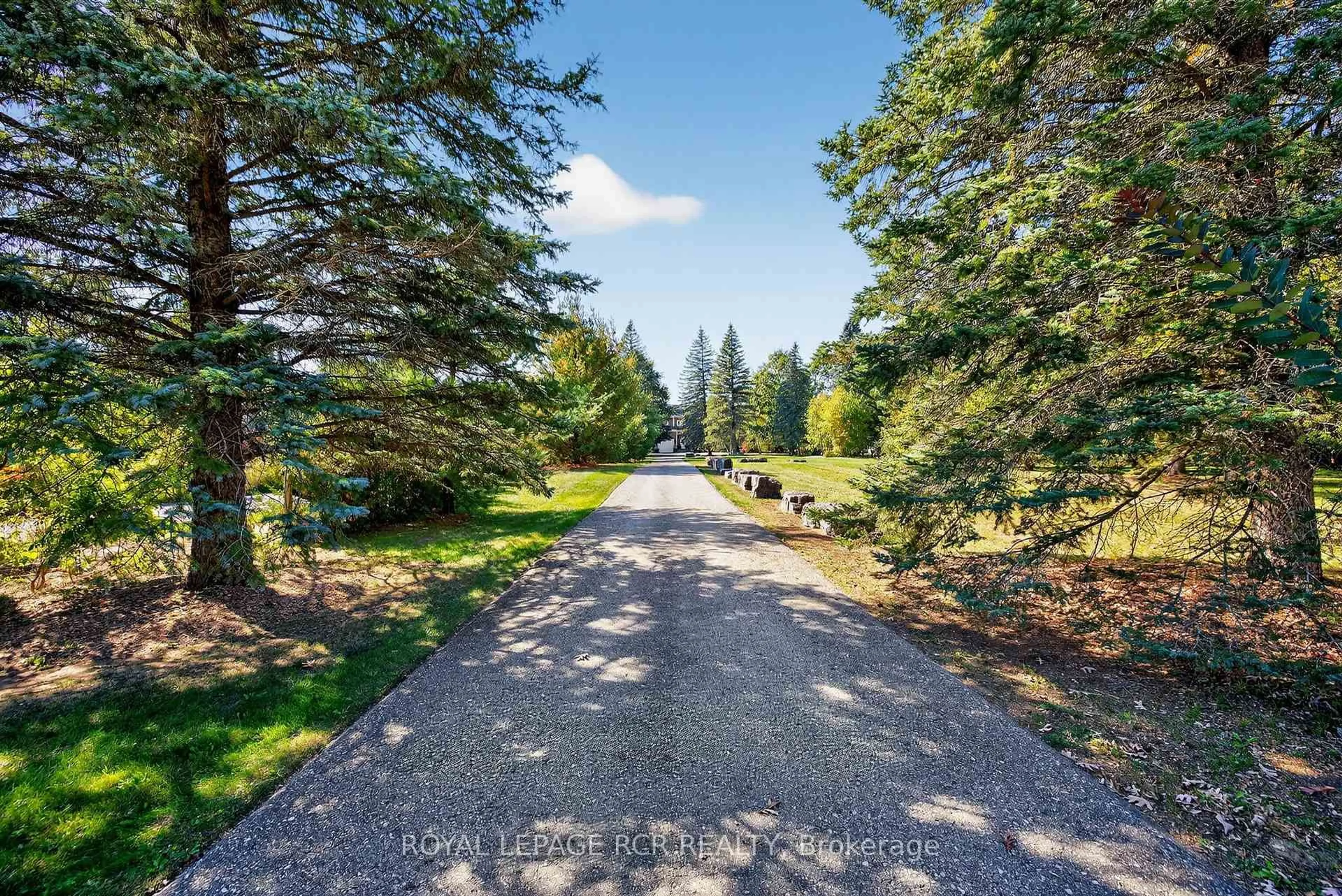 A pic from outside/outdoor area/front of a property/back of a property/a pic from drone, forest/trees view for 20572 Yonge St, East Gwillimbury Ontario L9N 0J7