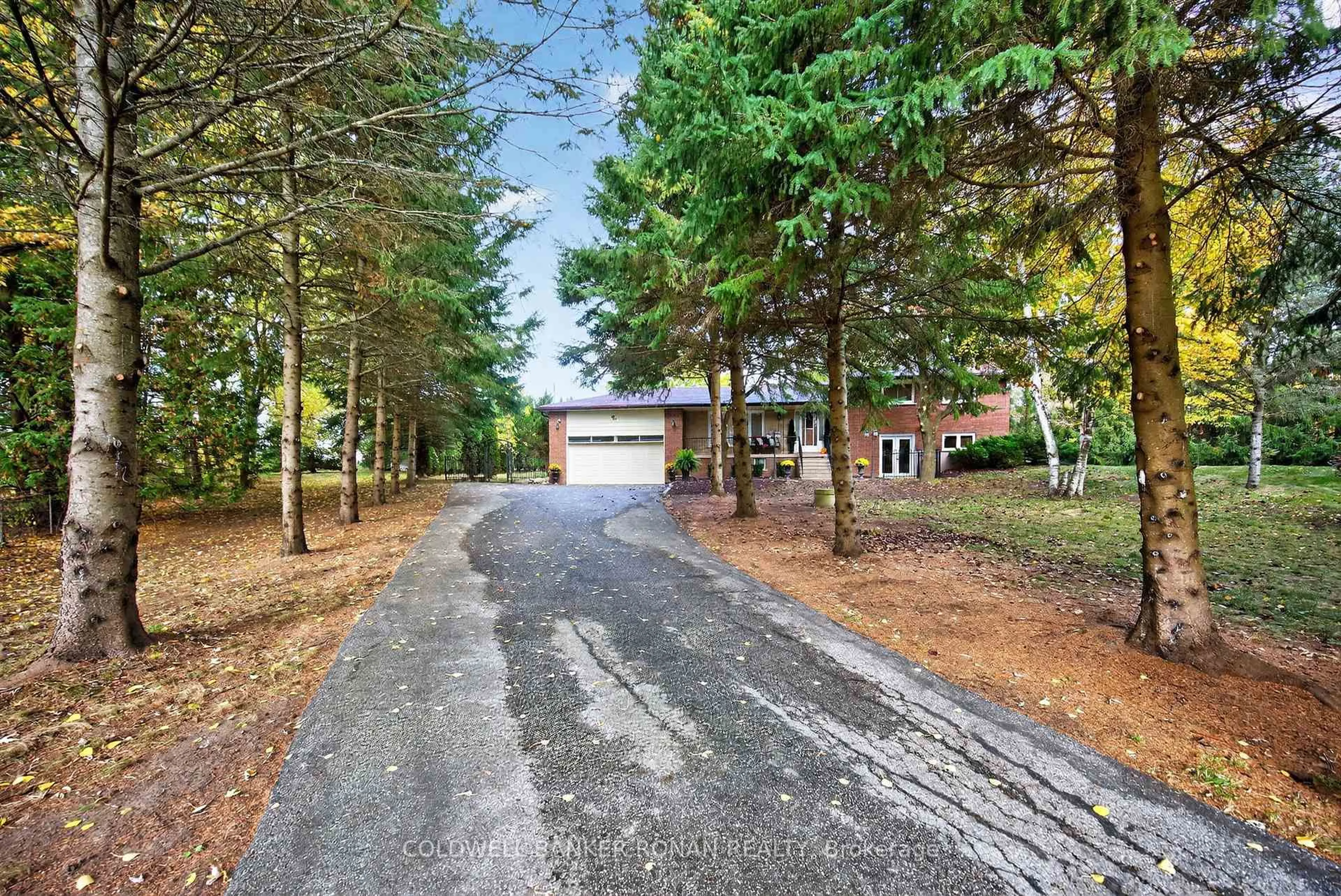 A pic from outside/outdoor area/front of a property/back of a property/a pic from drone, street for 2738 Concession Rd 4, Adjala-Tosorontio Ontario L0G 1L0