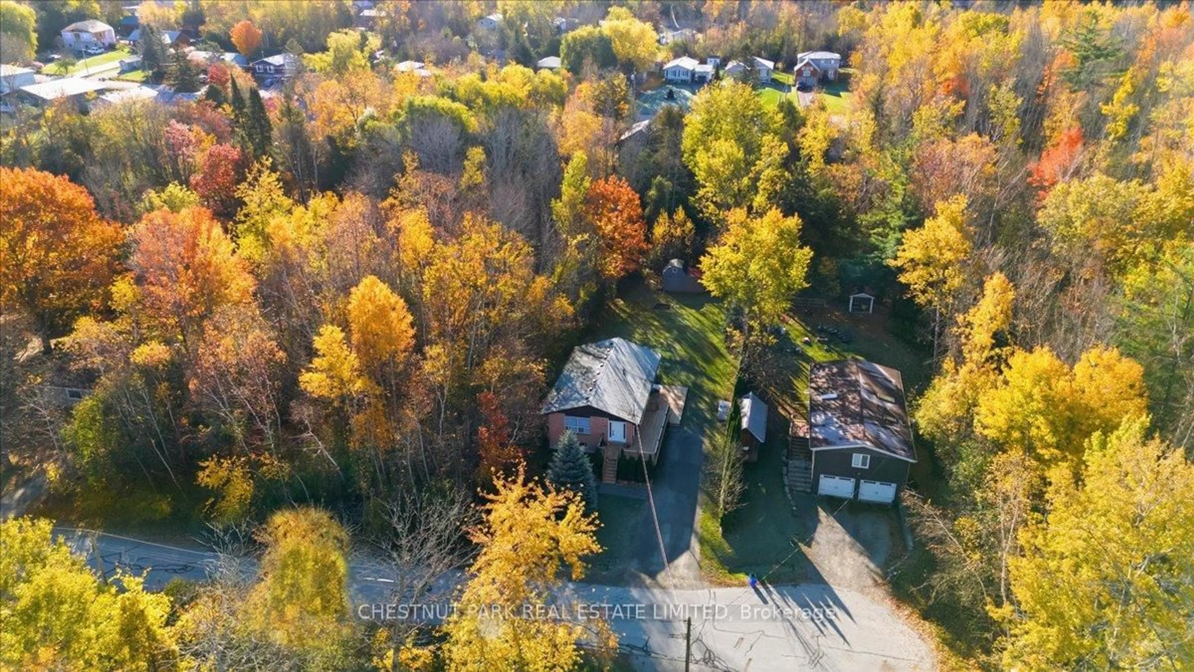 A pic from outside/outdoor area/front of a property/back of a property/a pic from drone, forest/trees view for 49 Sandra Dr, Georgina Ontario L0E 1R0