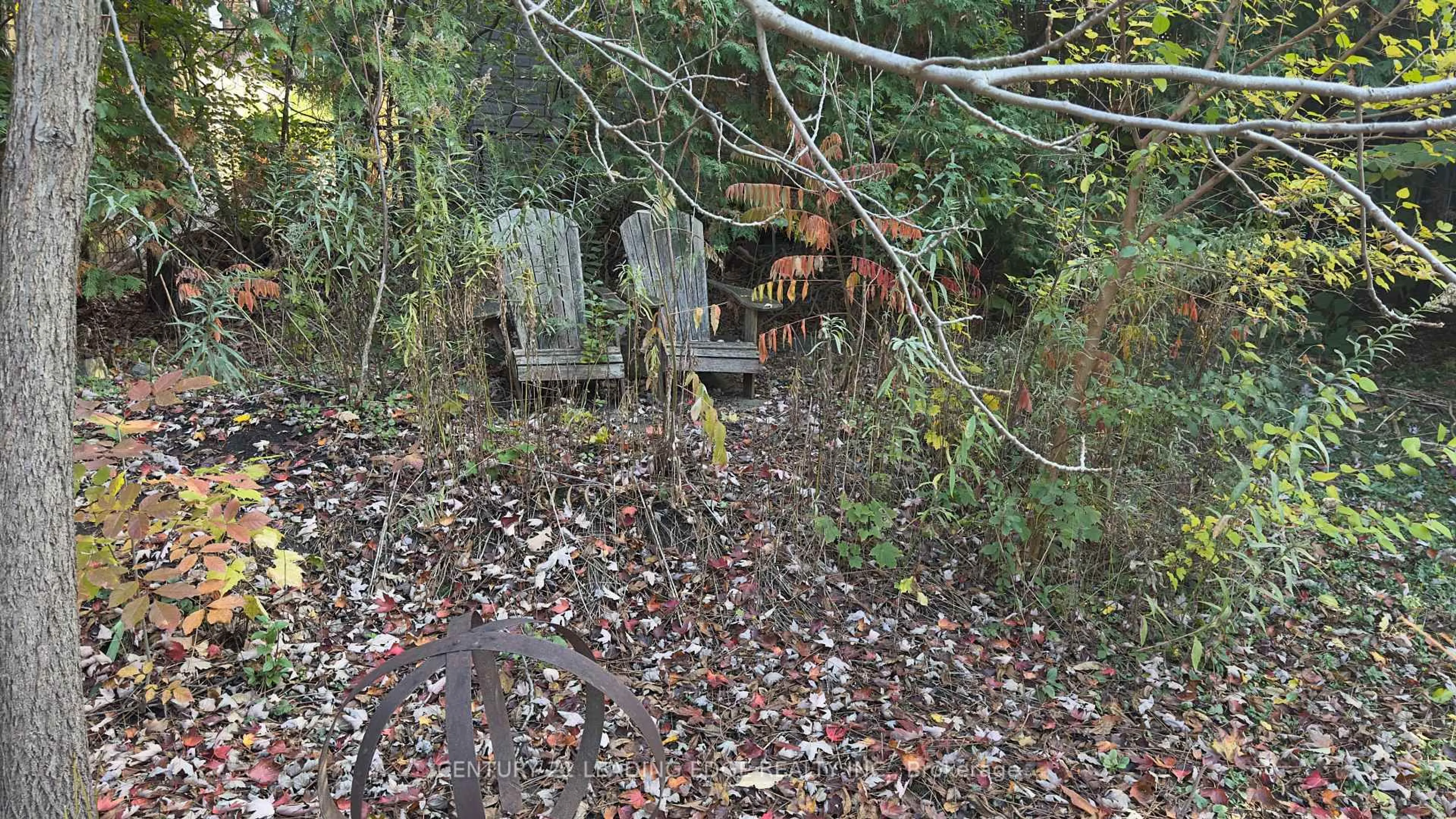 Shed for 117 Westwood Lane, Richmond Hill Ontario L4C 6X8