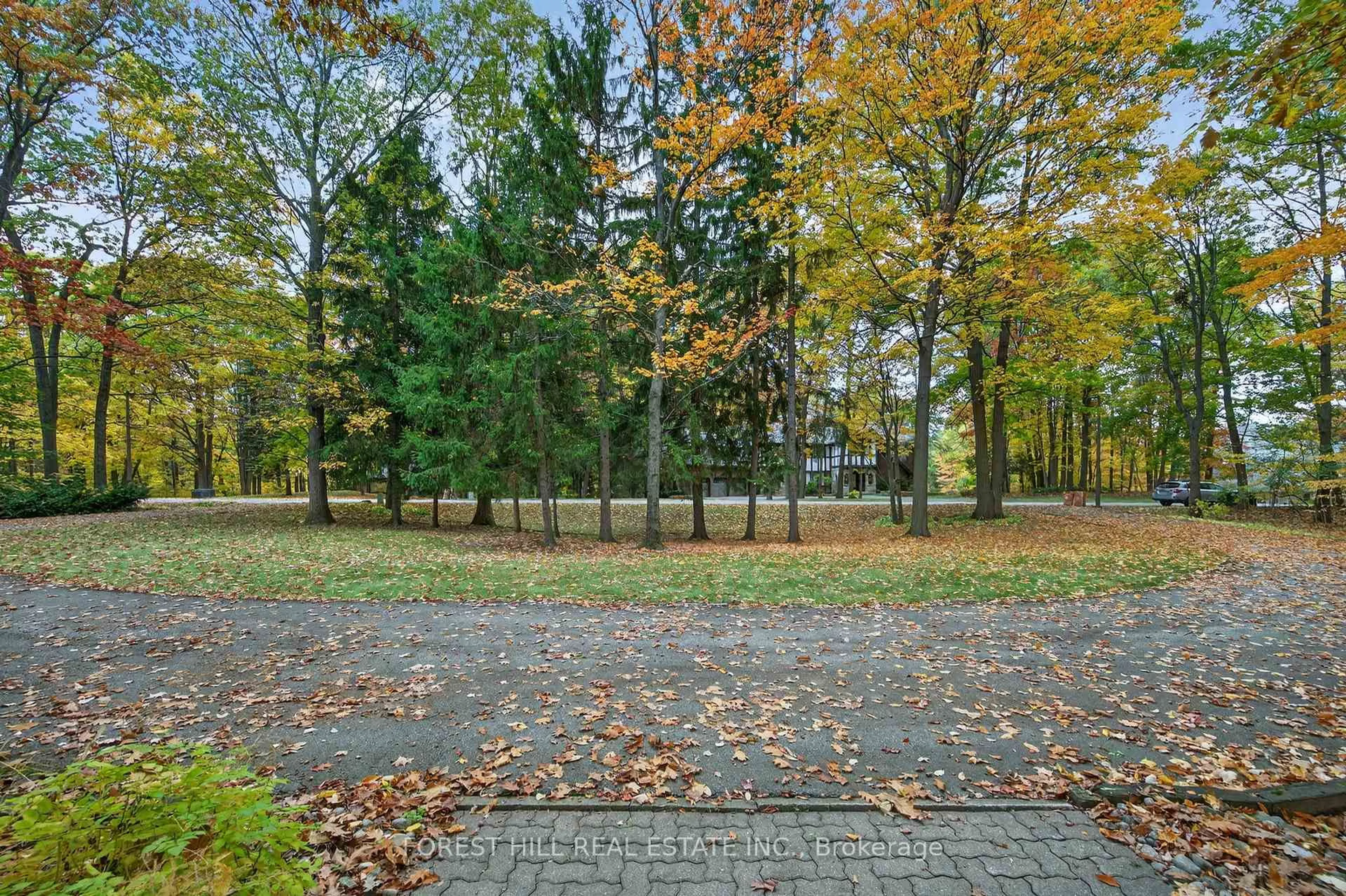 Patio, forest/trees view for 124 Forest Ridge Rd, Richmond Hill Ontario L4E 3L8