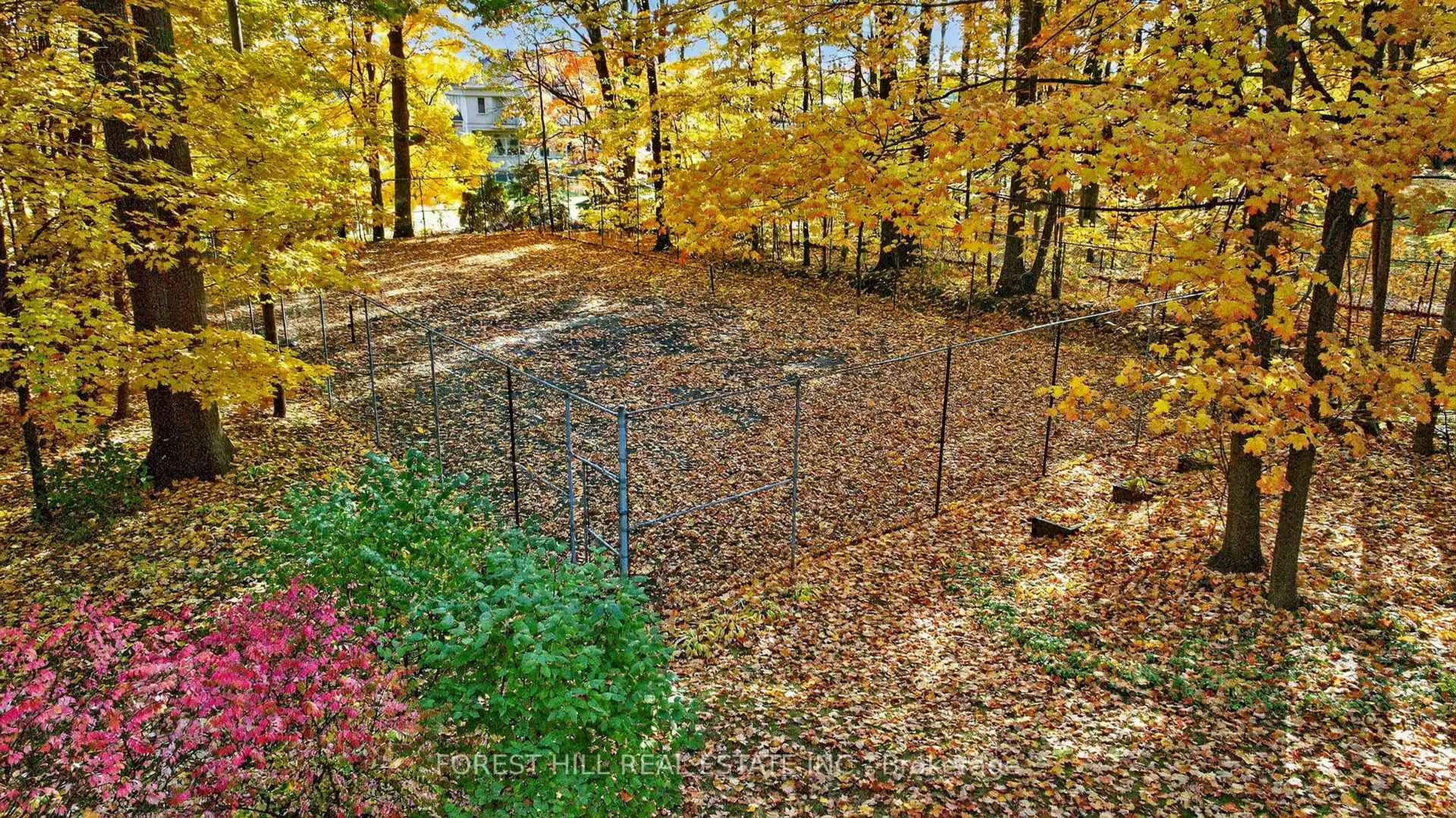 A pic from outside/outdoor area/front of a property/back of a property/a pic from drone, forest/trees view for 124 Forest Ridge Rd, Richmond Hill Ontario L4E 3L8