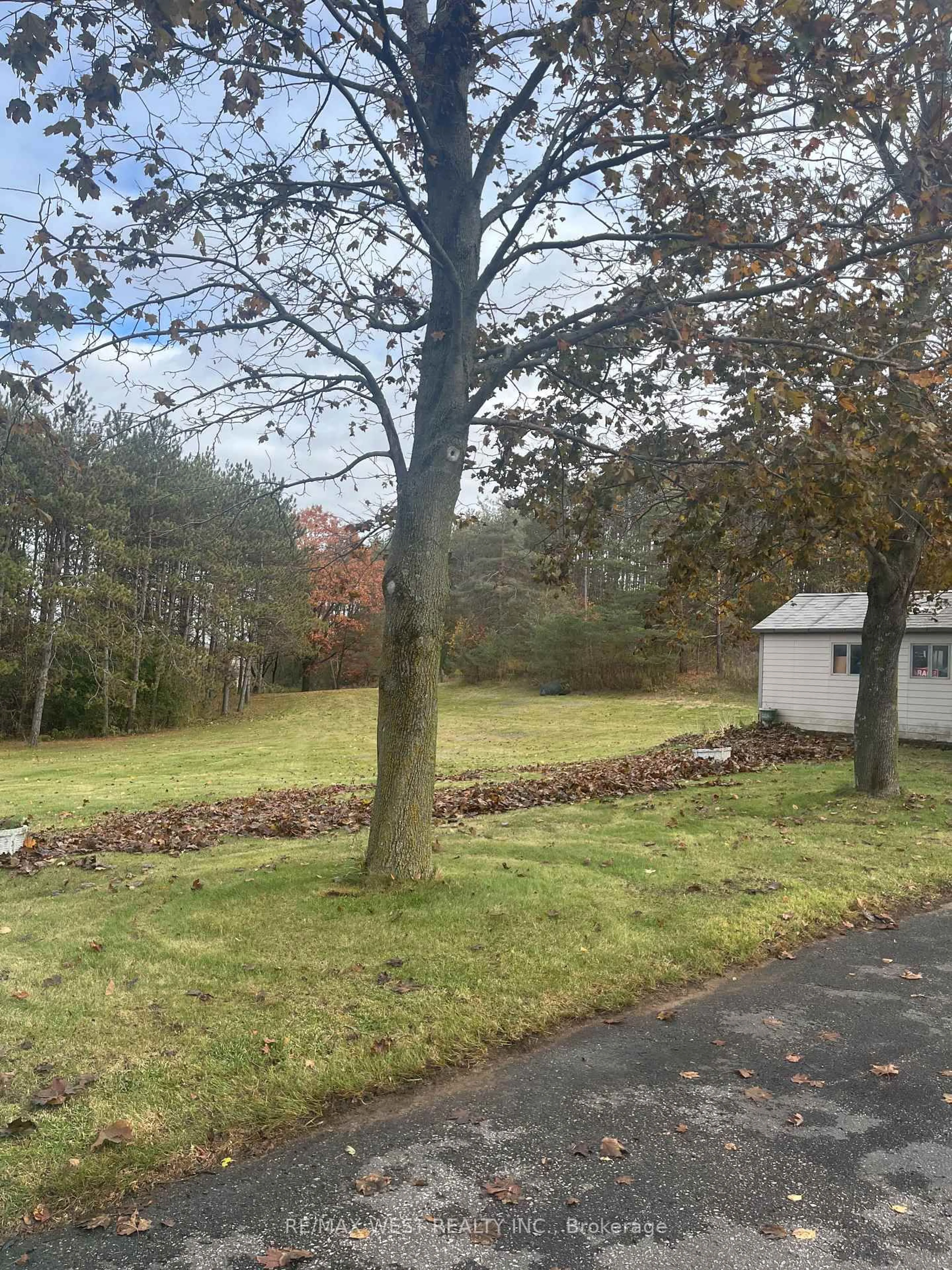 A pic from outside/outdoor area/front of a property/back of a property/a pic from drone, forest/trees view for 5949 Concession 6 Rd, Uxbridge Ontario L9P 0L6