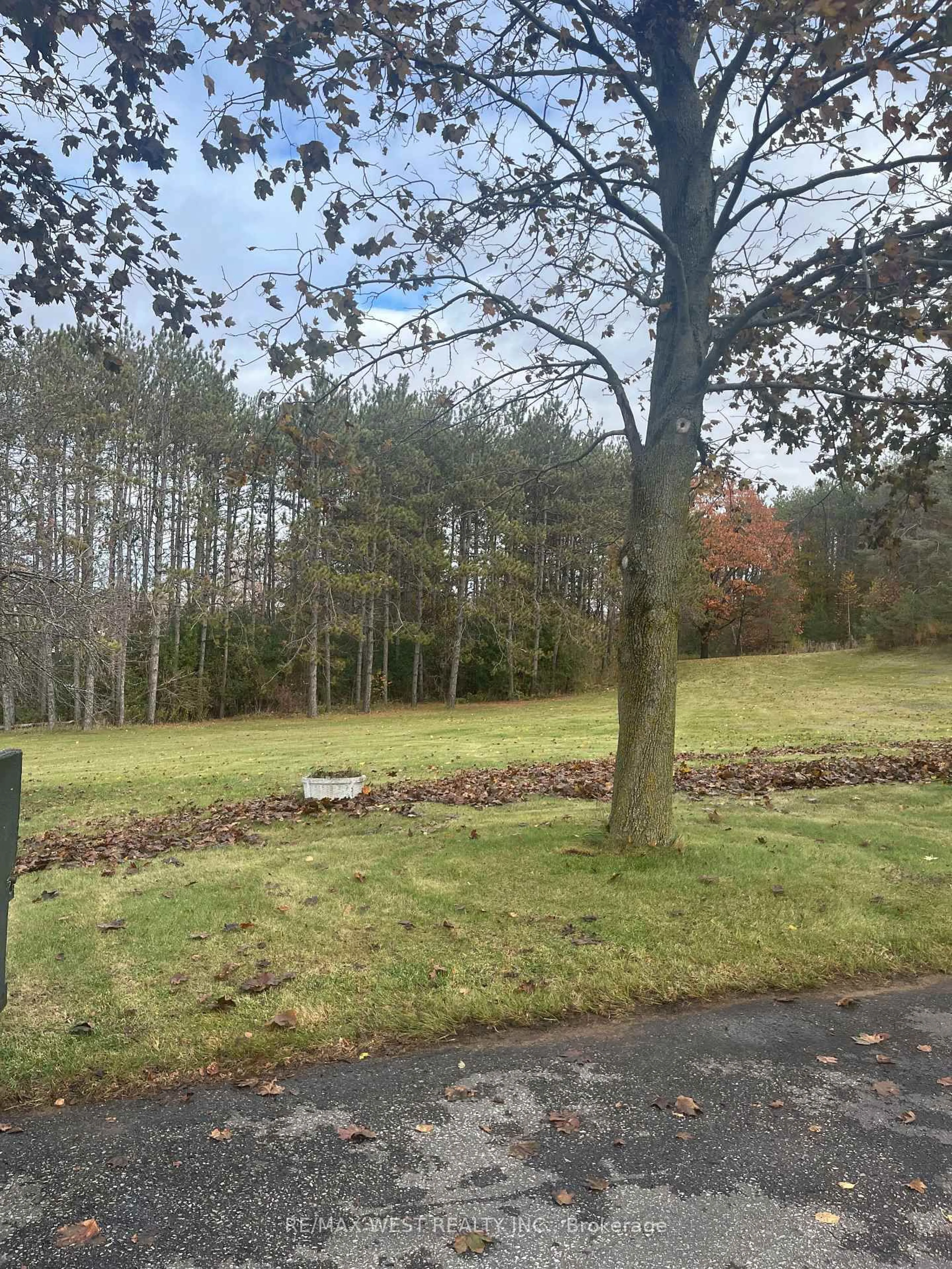 A pic from outside/outdoor area/front of a property/back of a property/a pic from drone, forest/trees view for 5949 Concession 6 Rd, Uxbridge Ontario L9P 0L6