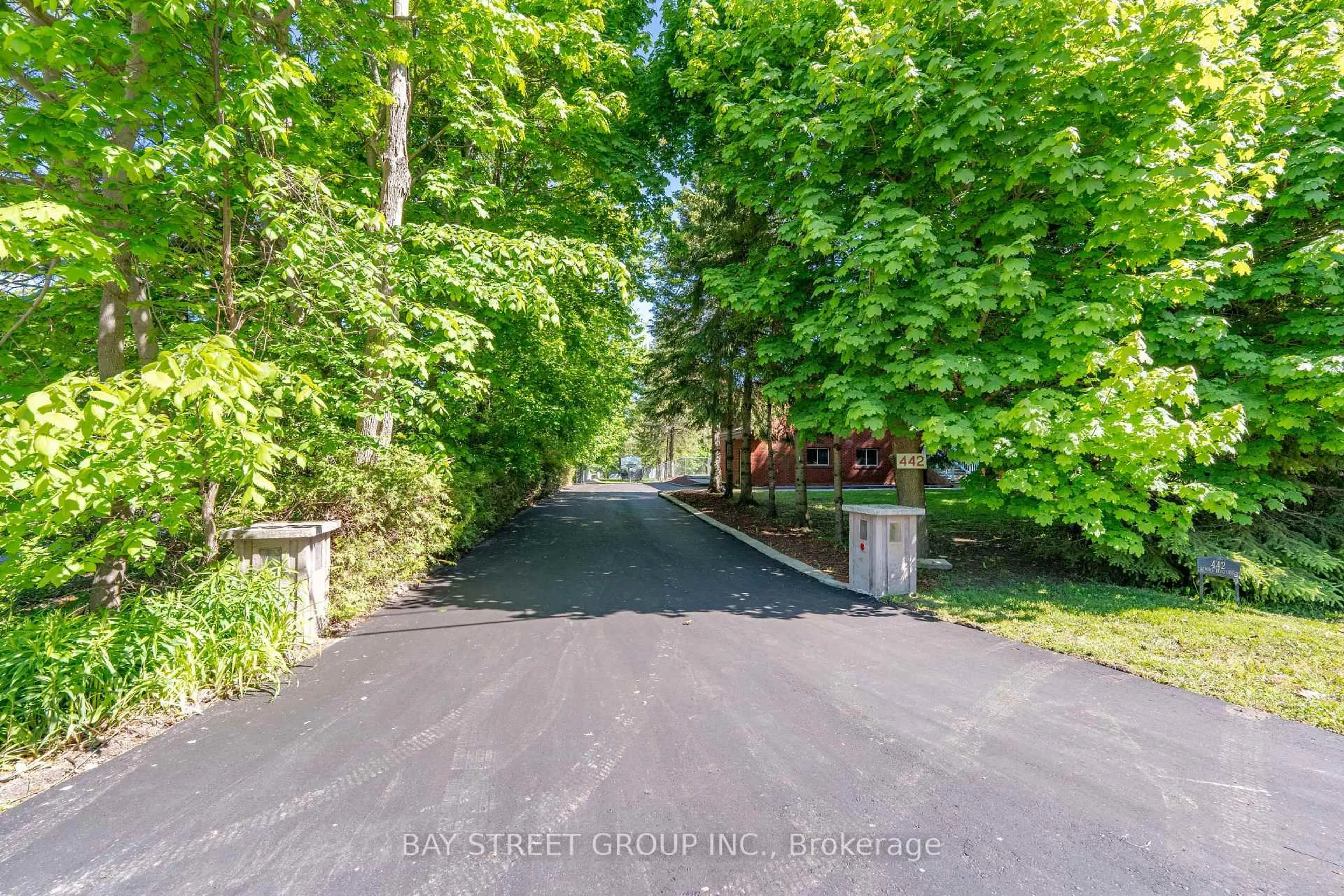 A pic from outside/outdoor area/front of a property/back of a property/a pic from drone, forest/trees view for 442 Sunset Beach Rd, Richmond Hill Ontario L4E 3J2