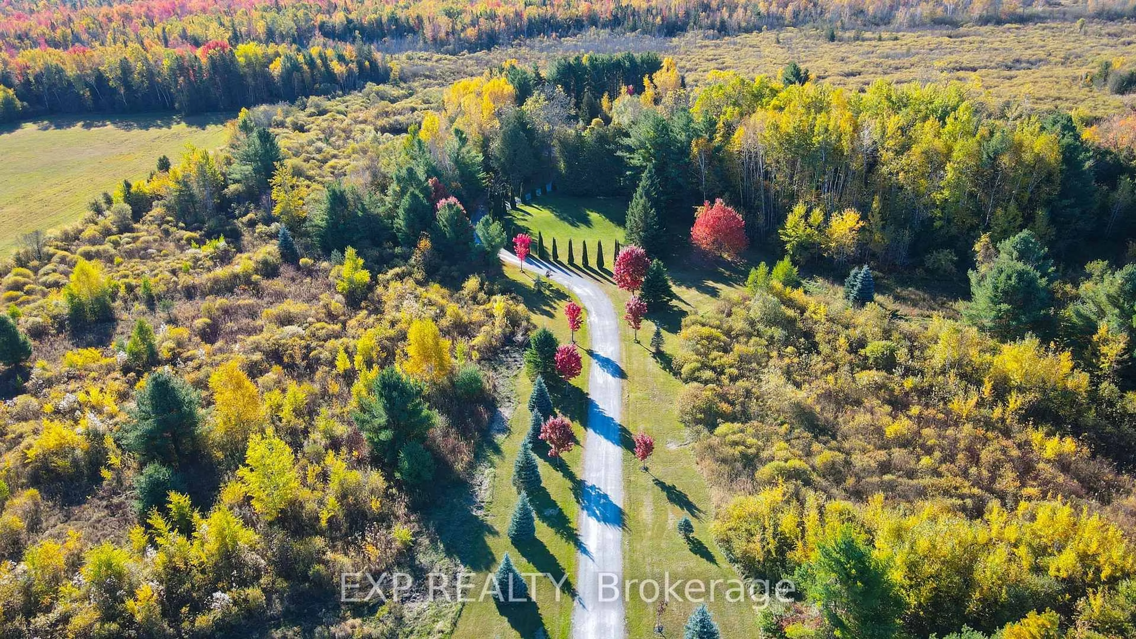 A pic from outside/outdoor area/front of a property/back of a property/a pic from drone, forest/trees view for 8327 Old Homestead Rd, Georgina Ontario L0E 1N0