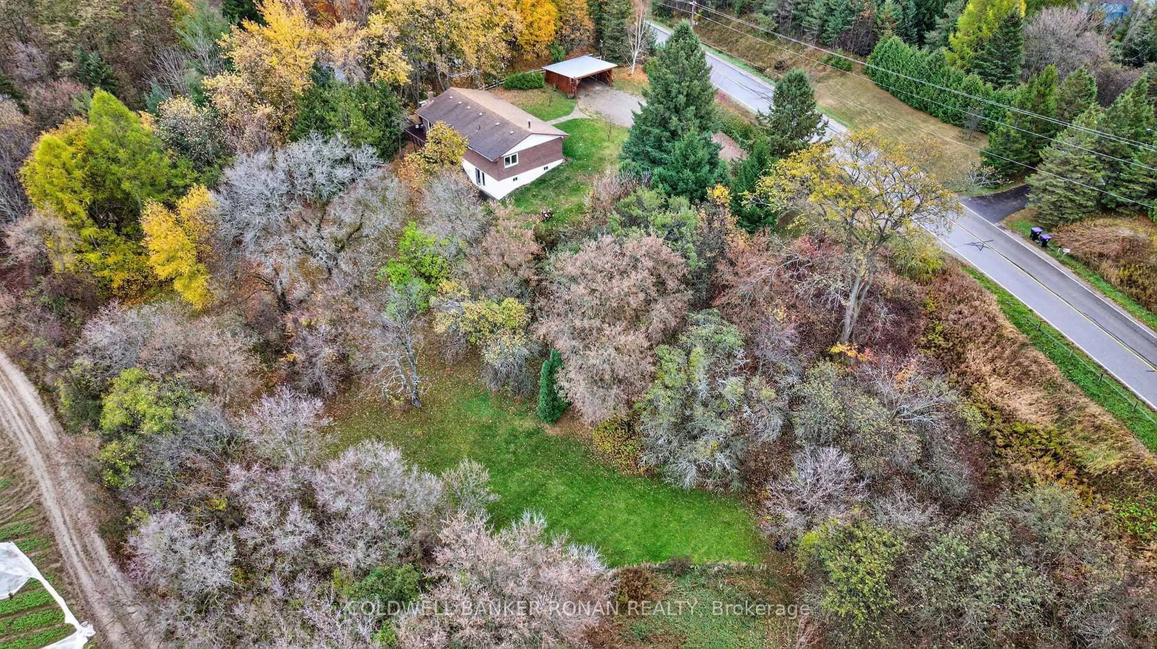 A pic from outside/outdoor area/front of a property/back of a property/a pic from drone, forest/trees view for 6976 2nd Line, New Tecumseth Ontario L0G 1W0