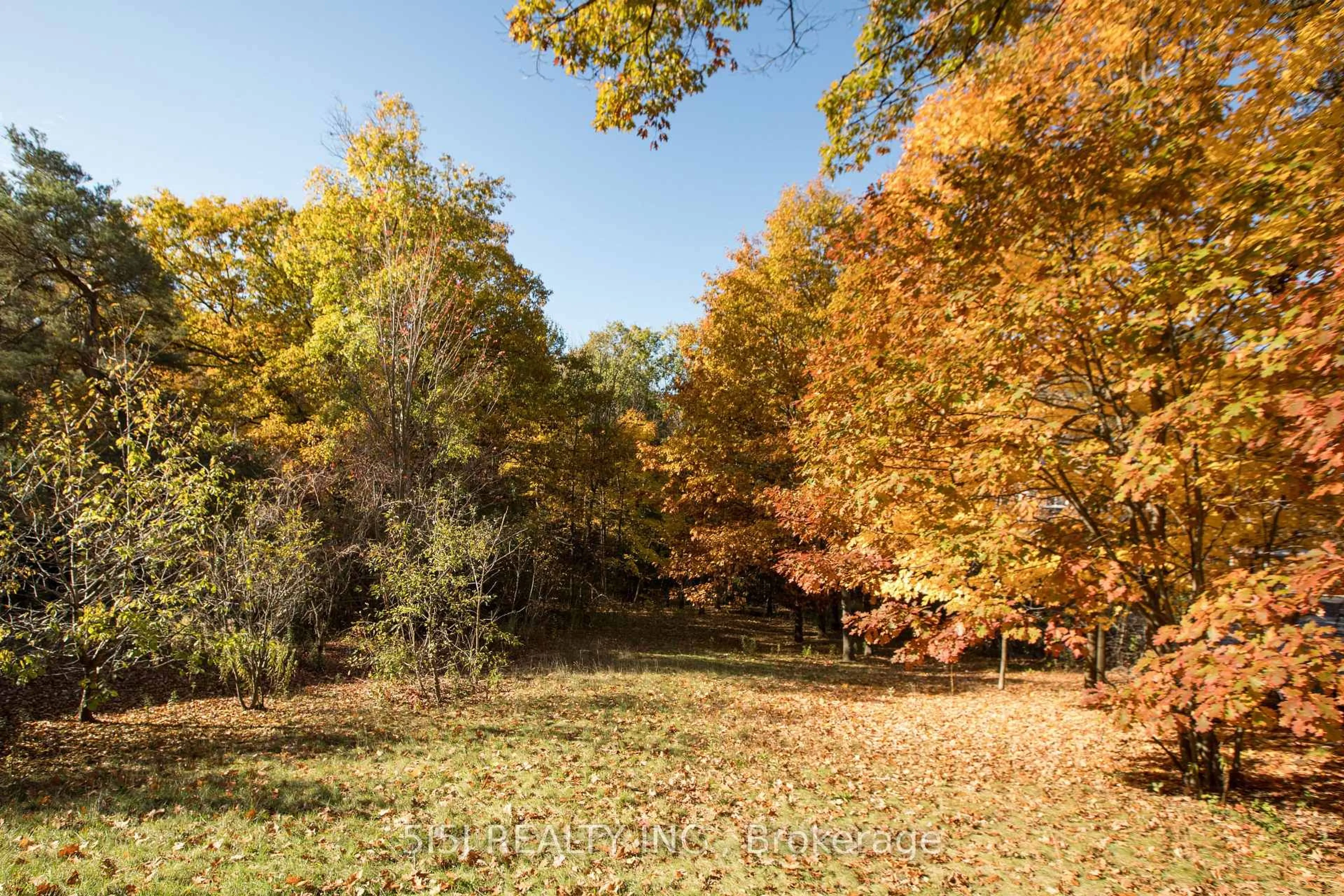 A pic from outside/outdoor area/front of a property/back of a property/a pic from drone, forest/trees view for 14190 Yonge St, Aurora Ontario L4G 0P5