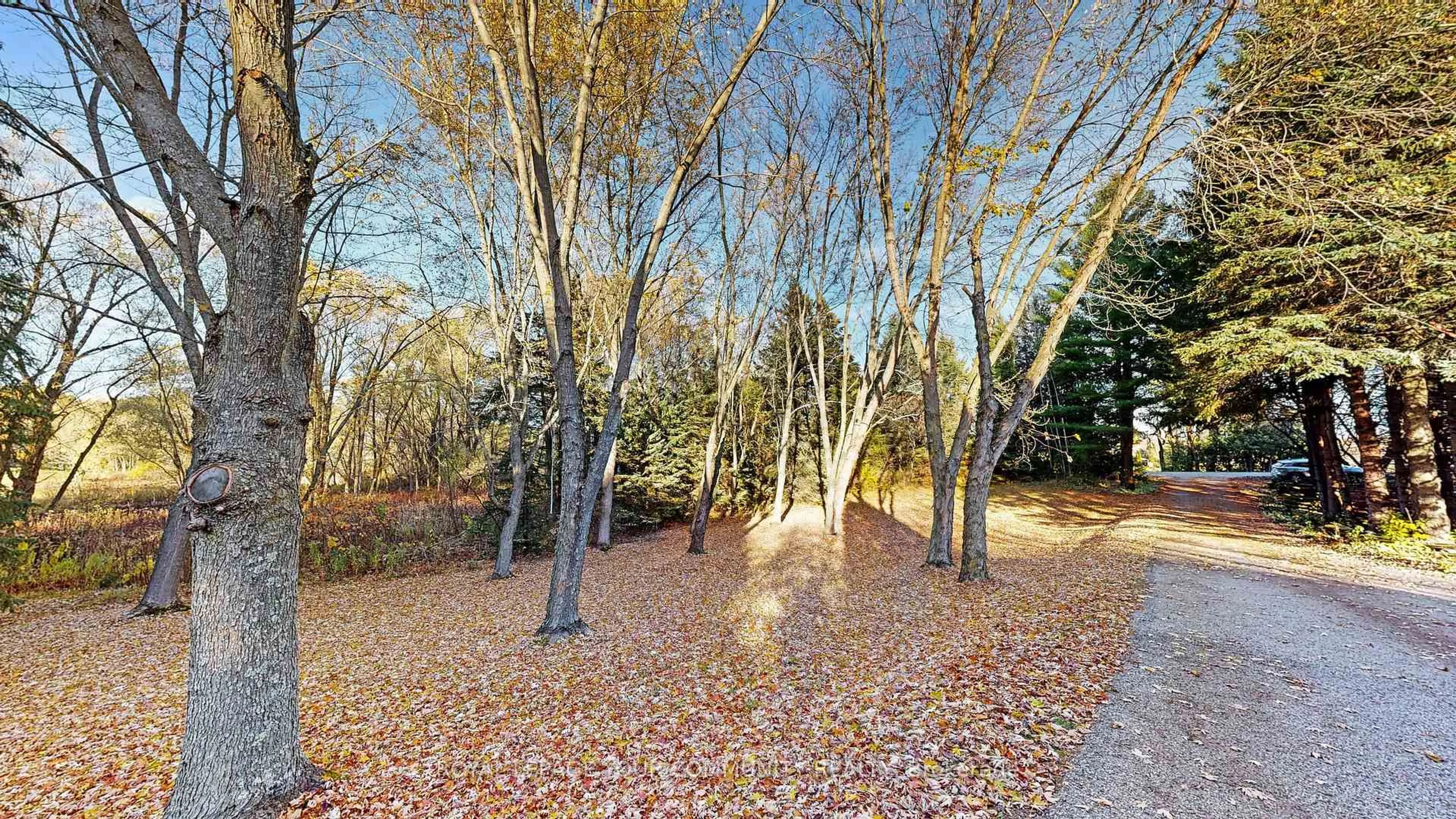 Patio, forest/trees view for 1538 concession Rd 4 Concession, Adjala-Tosorontio Ontario L0G 1L0