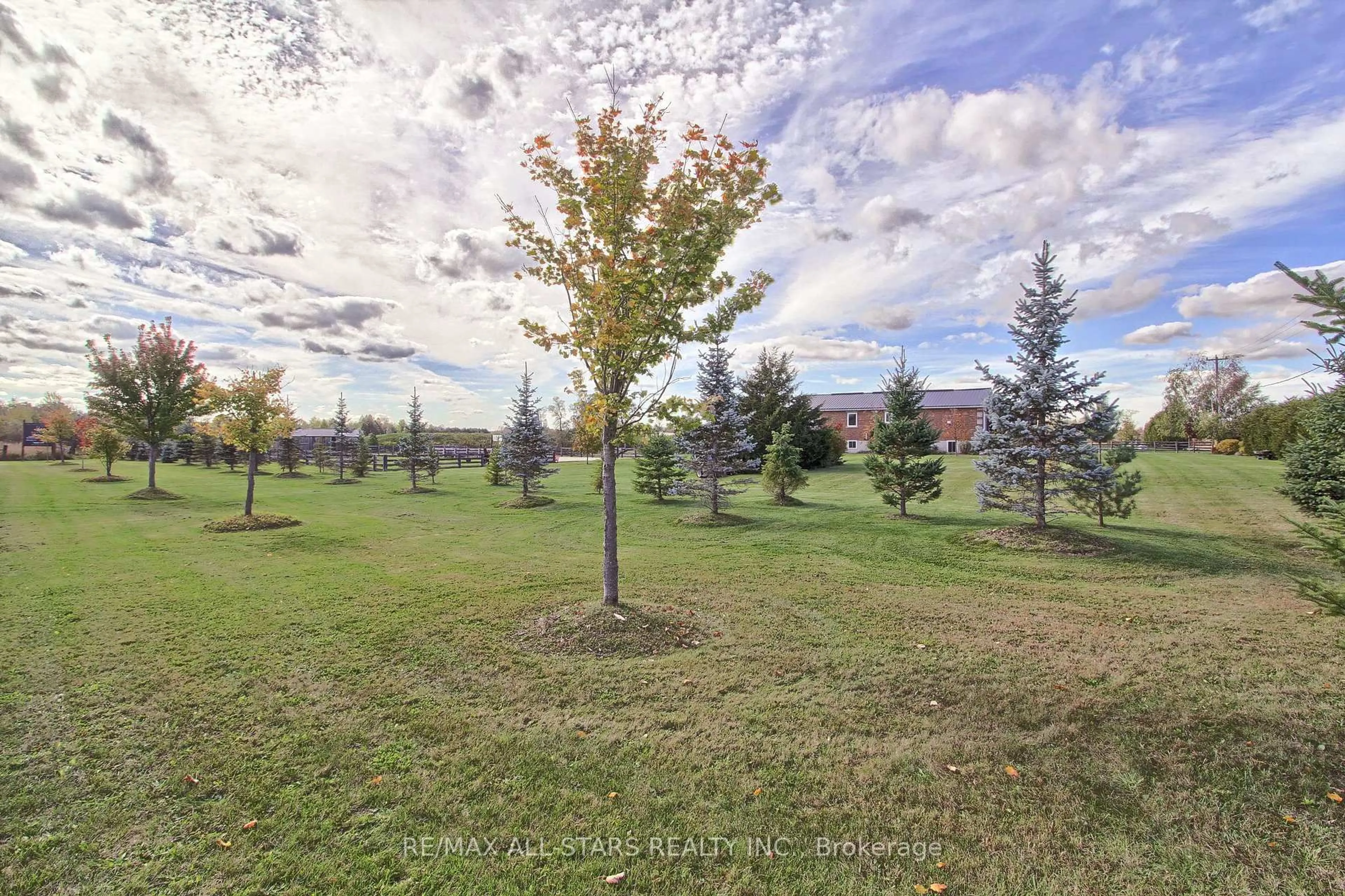 A pic from outside/outdoor area/front of a property/back of a property/a pic from drone, forest/trees view for 5227 Boag Rd, East Gwillimbury Ontario L0G 1M0