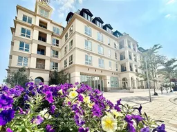 history photo preview