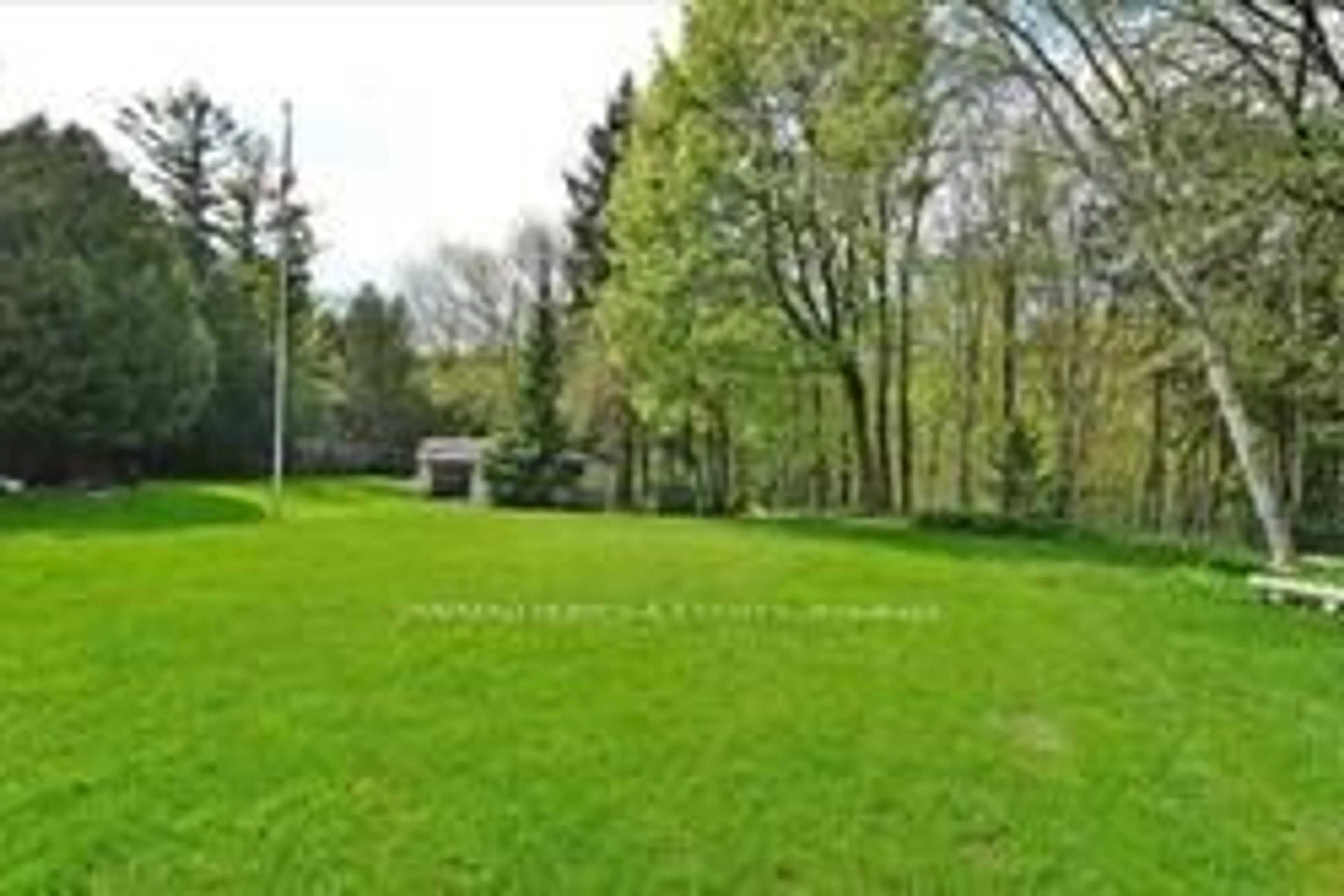 A pic from outside/outdoor area/front of a property/back of a property/a pic from drone, forest/trees view for 38 Maryvale Cres, Richmond Hill Ontario L4C 6P8