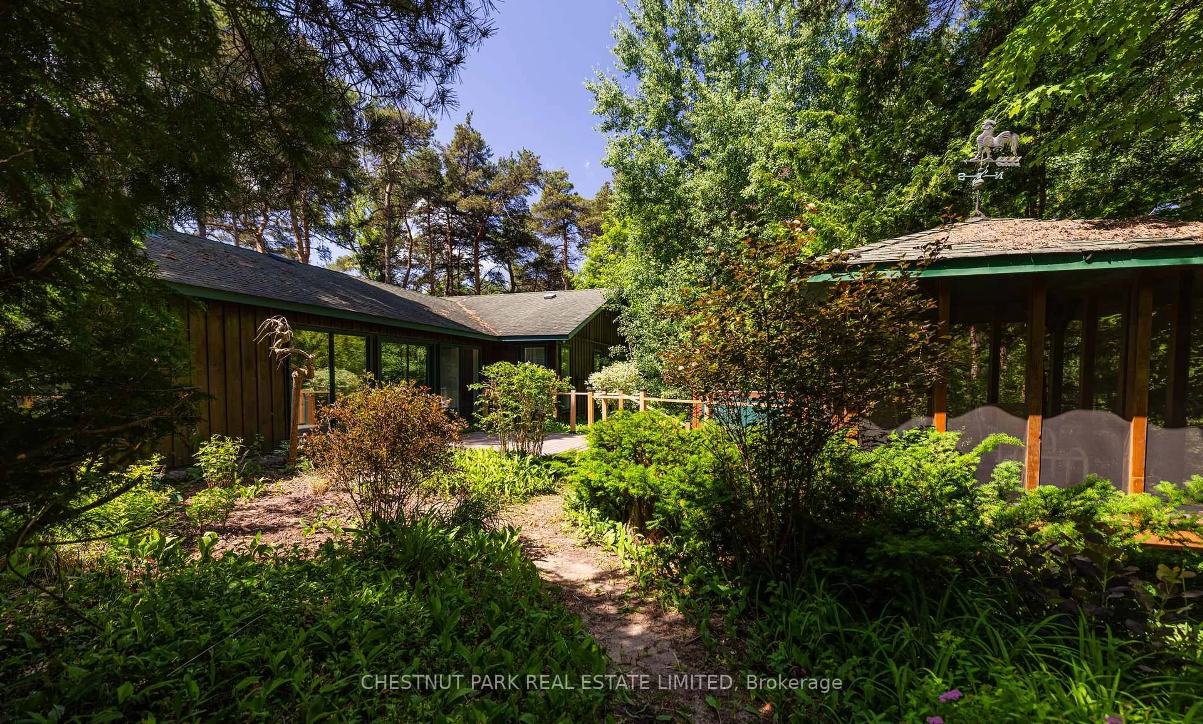 A pic from outside/outdoor area/front of a property/back of a property/a pic from drone, forest/trees view for 90 Ridge Rd, Aurora Ontario L4G 0M3