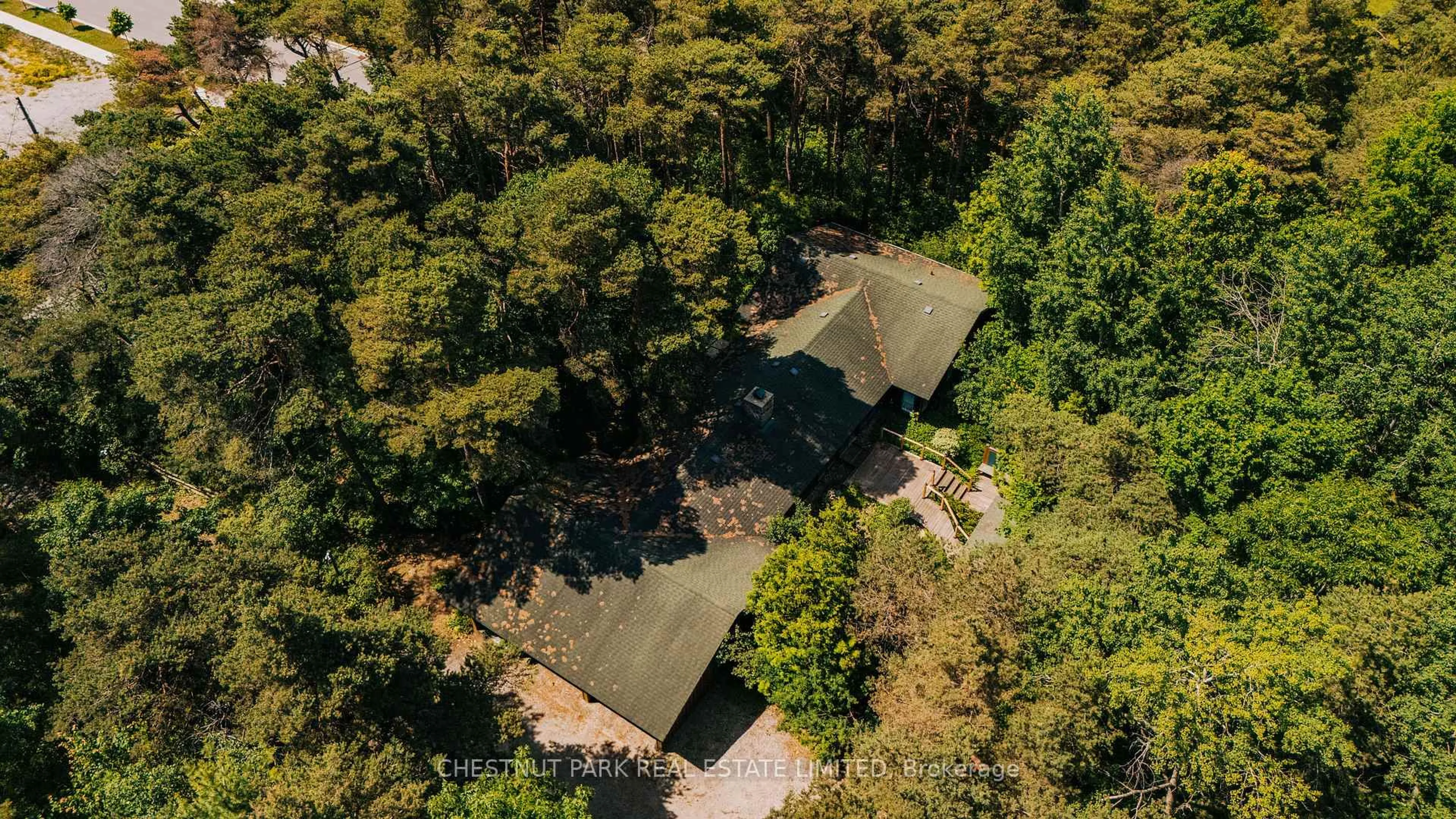 A pic from outside/outdoor area/front of a property/back of a property/a pic from drone, forest/trees view for 90 Ridge Rd, Aurora Ontario L4G 0M3