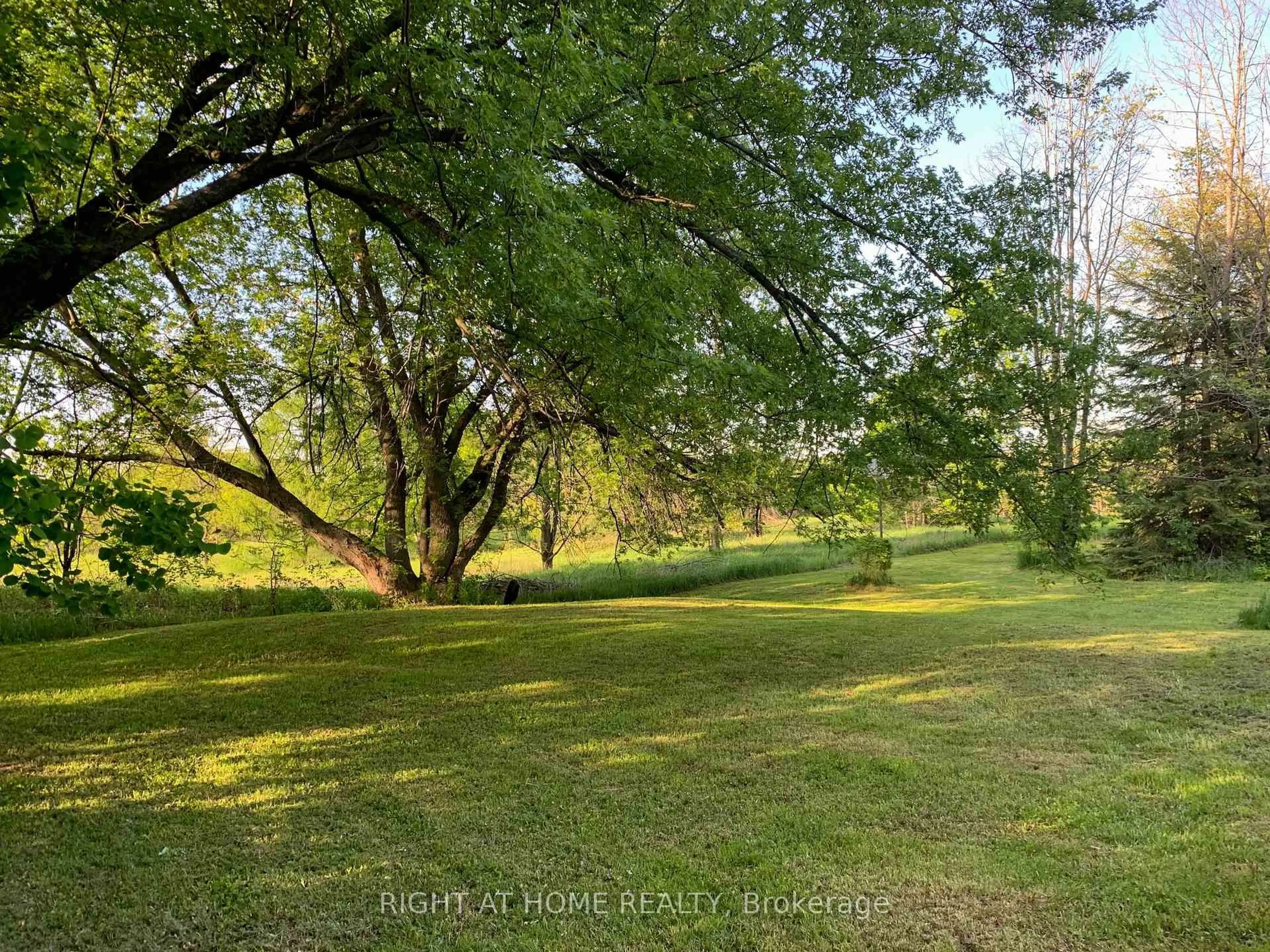 A pic from outside/outdoor area/front of a property/back of a property/a pic from drone, forest/trees view for 2421 10 Sdrd, New Tecumseth Ontario L0G 1W0