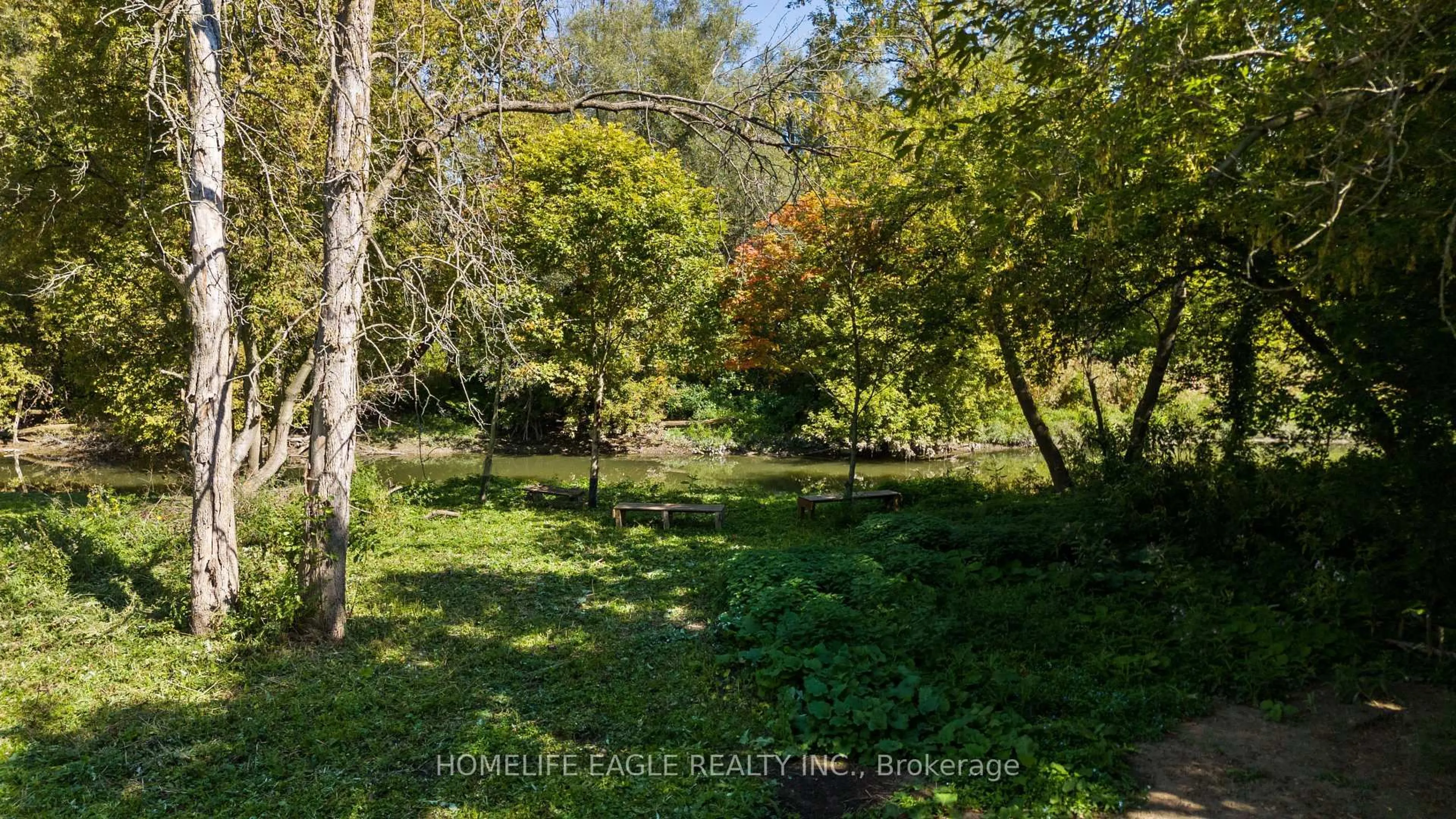 A pic from outside/outdoor area/front of a property/back of a property/a pic from drone, forest/trees view for 17 Toll Rd, East Gwillimbury Ontario L9N 1G6