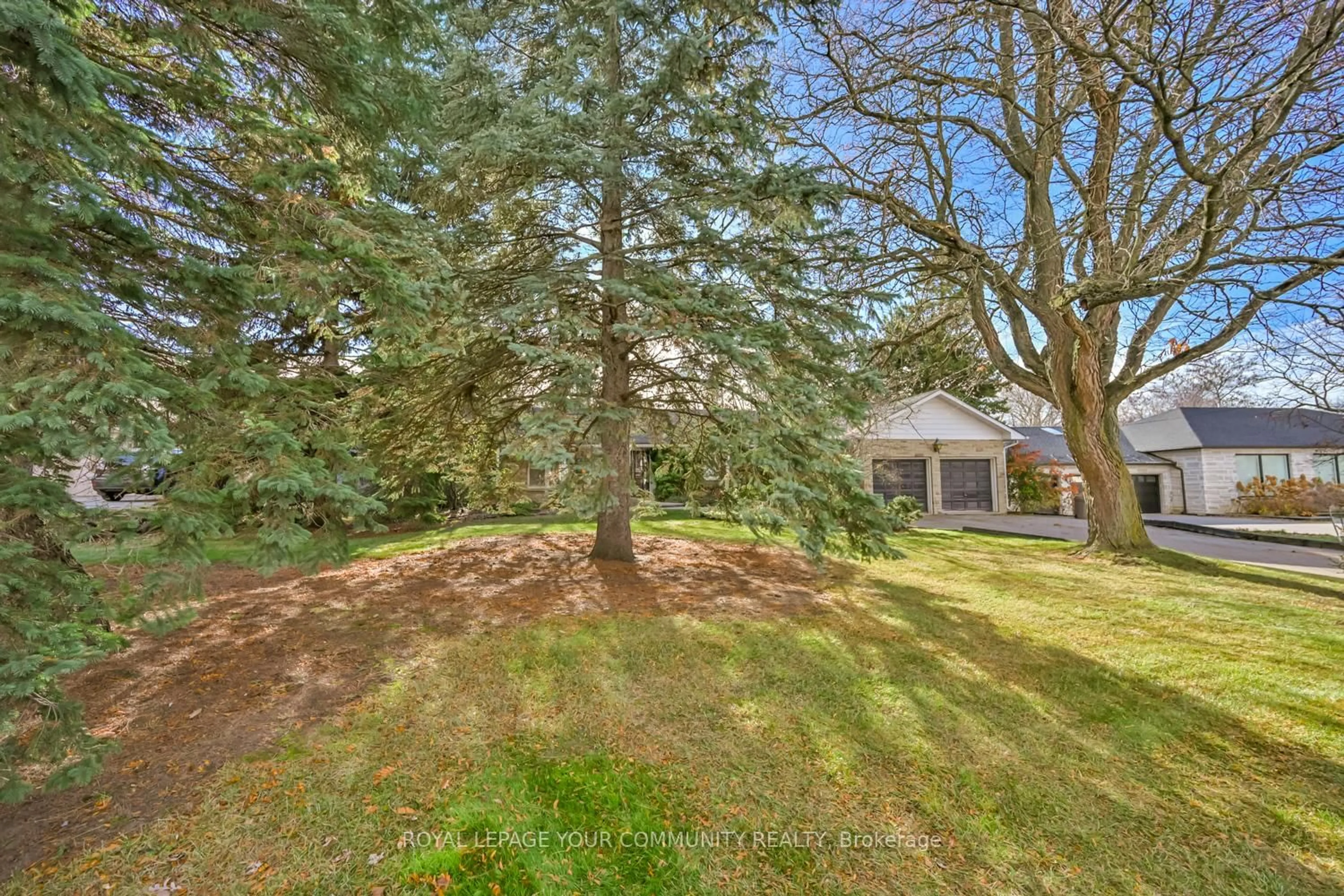 A pic from outside/outdoor area/front of a property/back of a property/a pic from drone, forest/trees view for 23 Denham Dr, Richmond Hill Ontario L4C 6H6