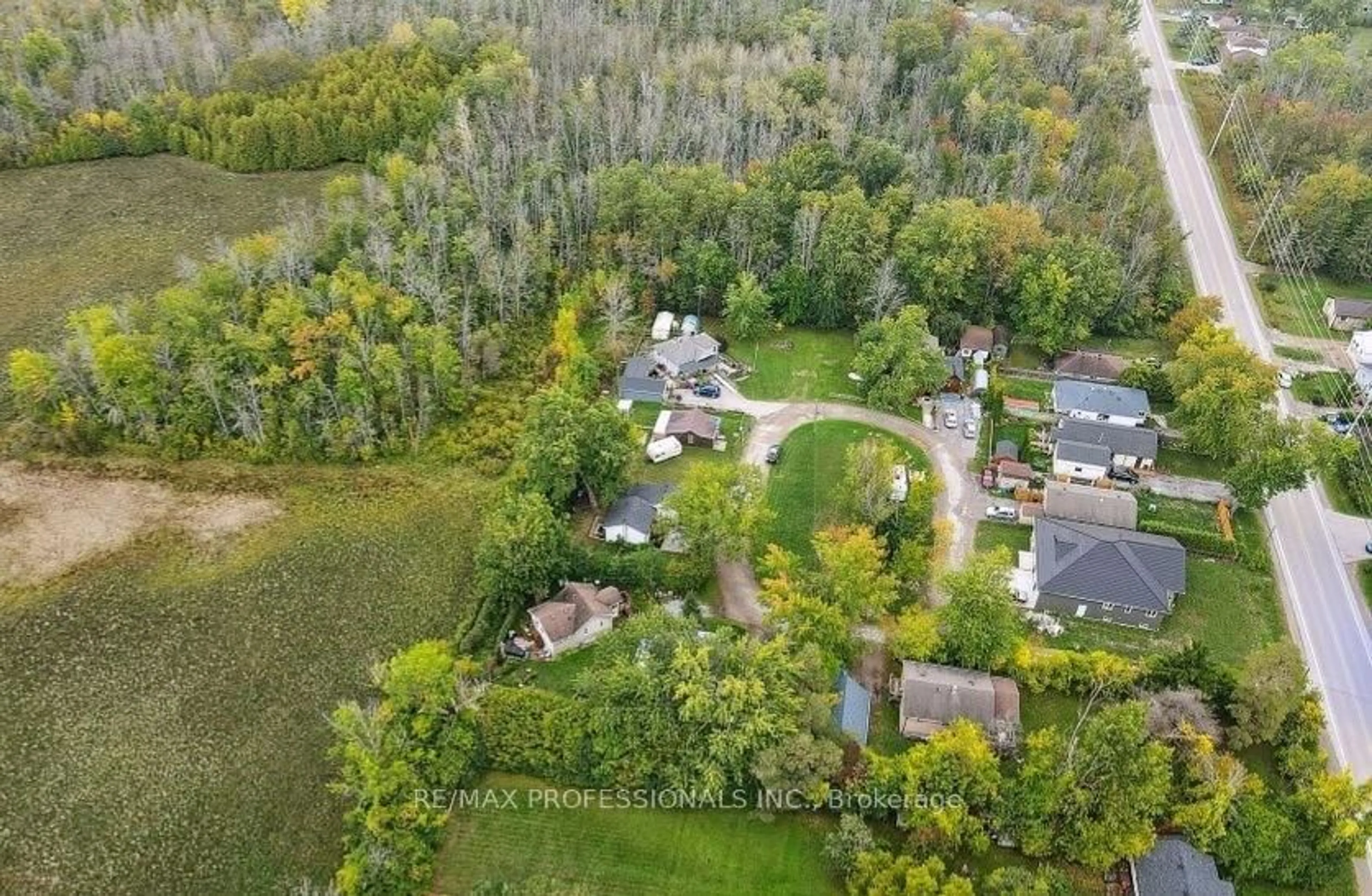 A pic from outside/outdoor area/front of a property/back of a property/a pic from drone, forest/trees view for 14 Patty Lane, Georgina Ontario L5E 1S0