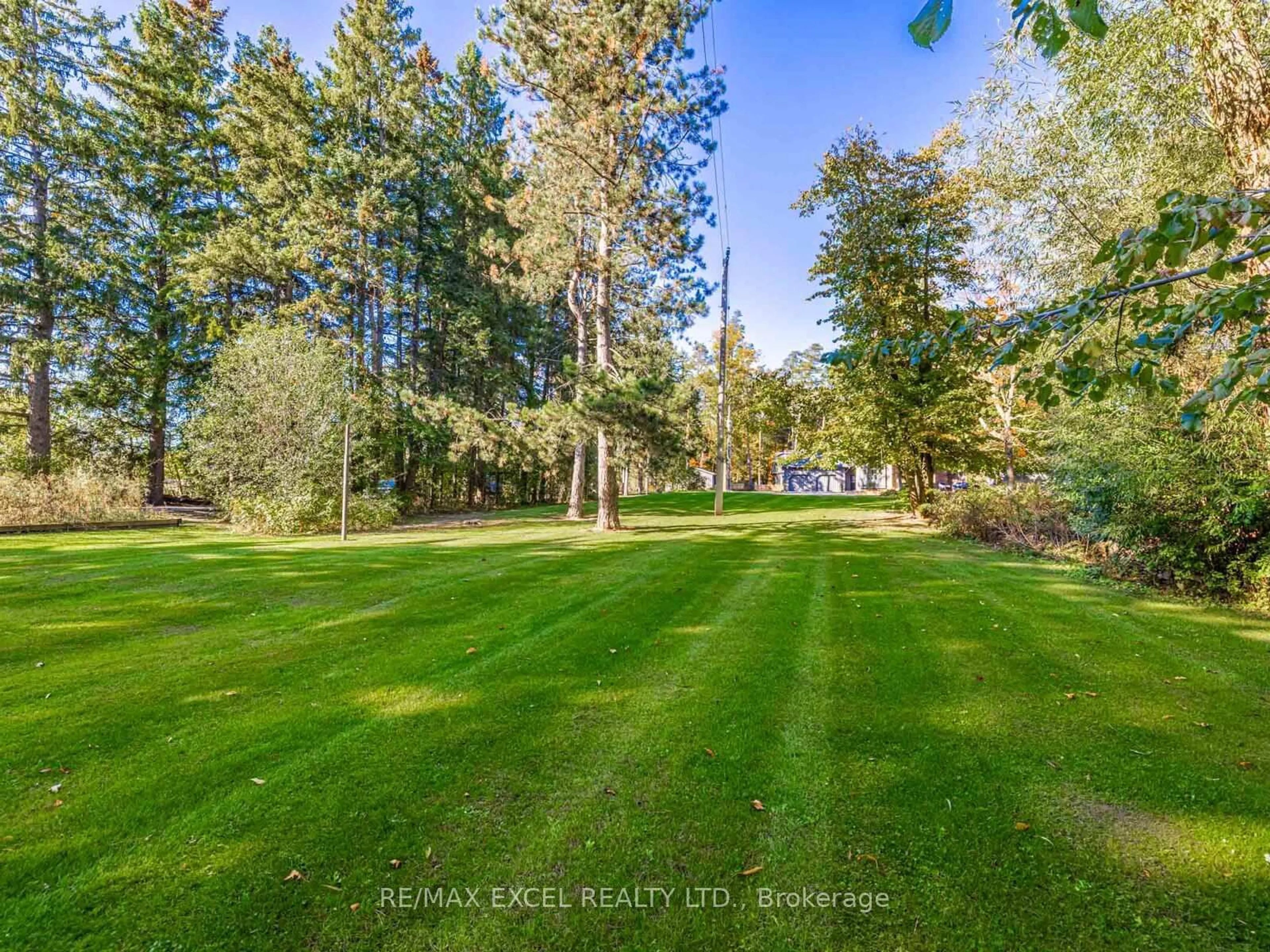 A pic from outside/outdoor area/front of a property/back of a property/a pic from drone, forest/trees view for 4138 19th Ave, Markham Ontario L6C 1M2