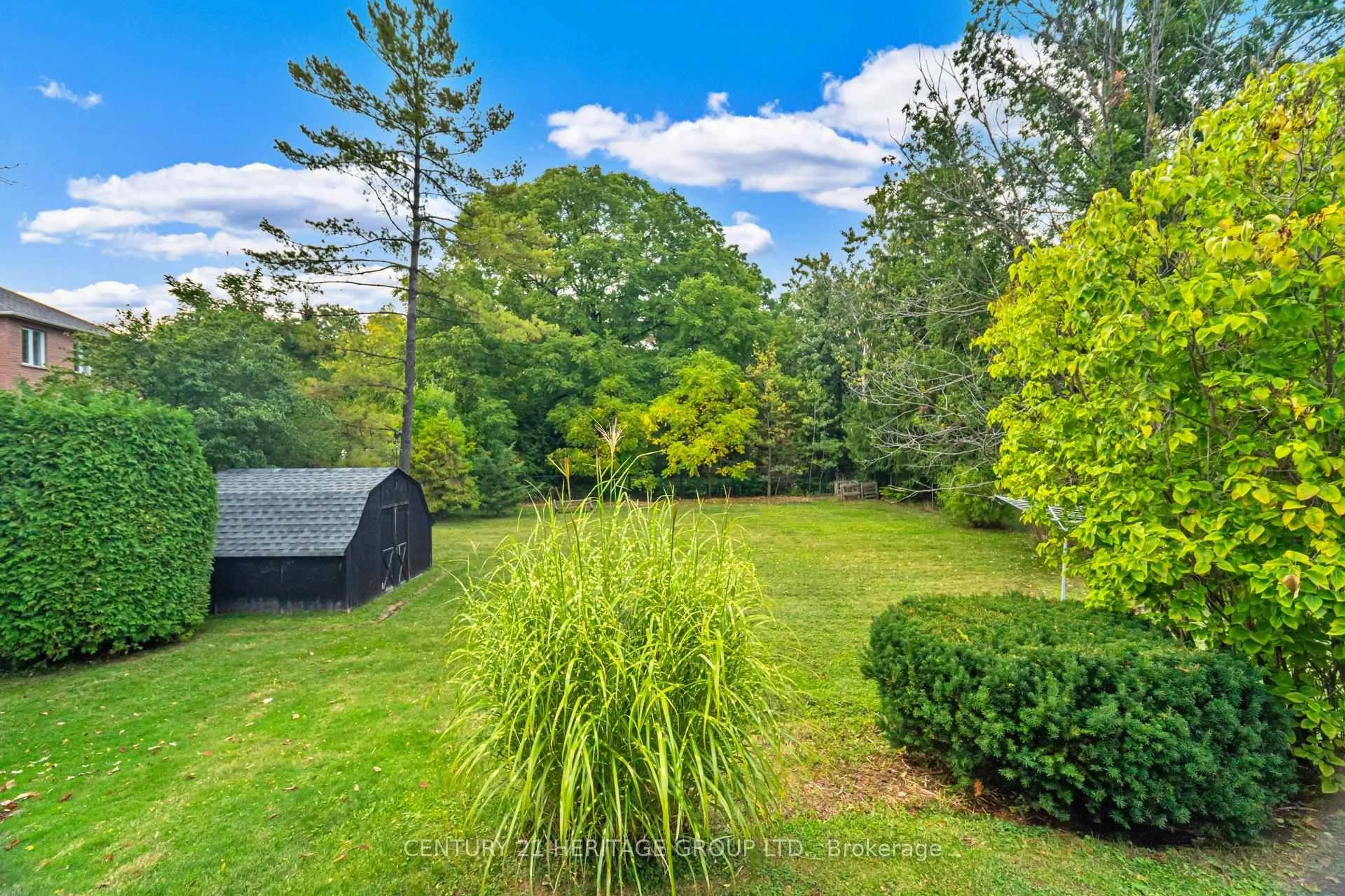 A pic from outside/outdoor area/front of a property/back of a property/a pic from drone, forest/trees view for 22 Poplar Dr, Richmond Hill Ontario L4E 2X6