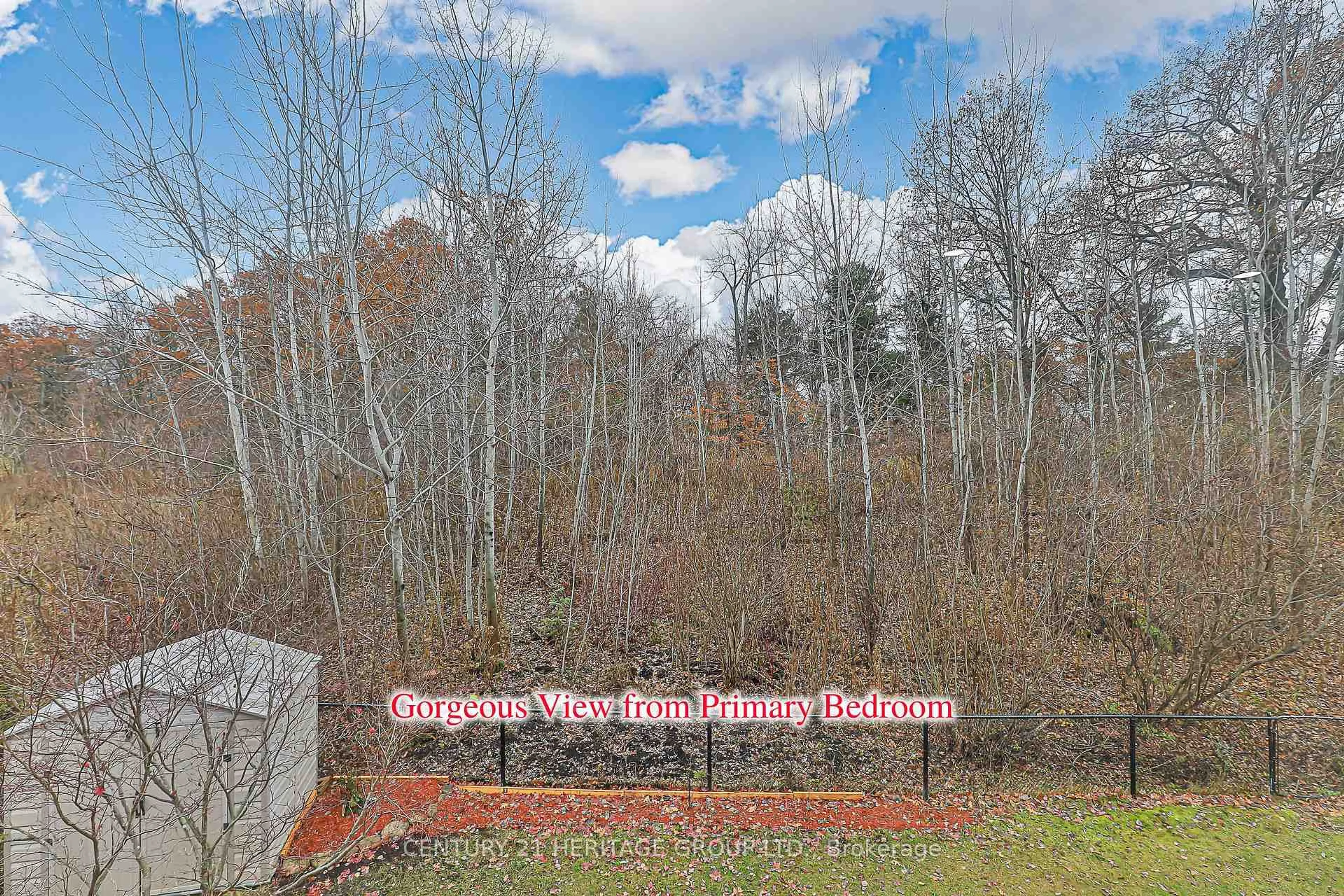 A pic from outside/outdoor area/front of a property/back of a property/a pic from drone, forest/trees view for 20 Trish Dr, Richmond Hill Ontario L4E 5C5