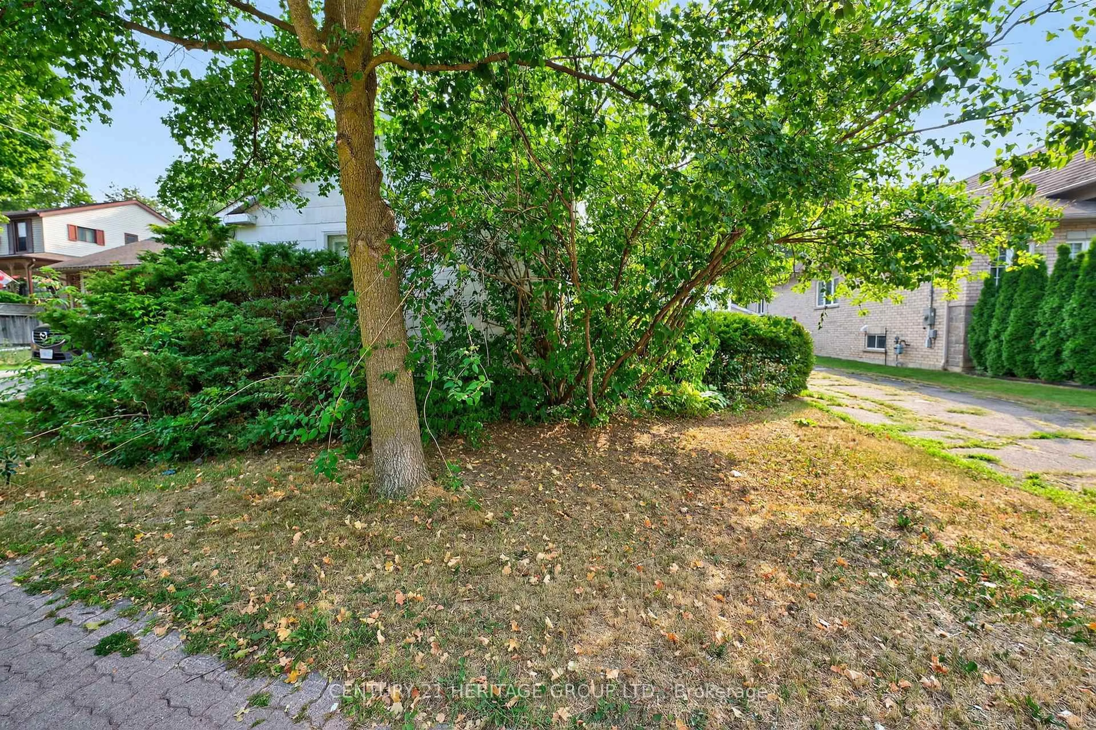 Patio, forest/trees view for 117 Lucas St, Richmond Hill Ontario L4C 4P4