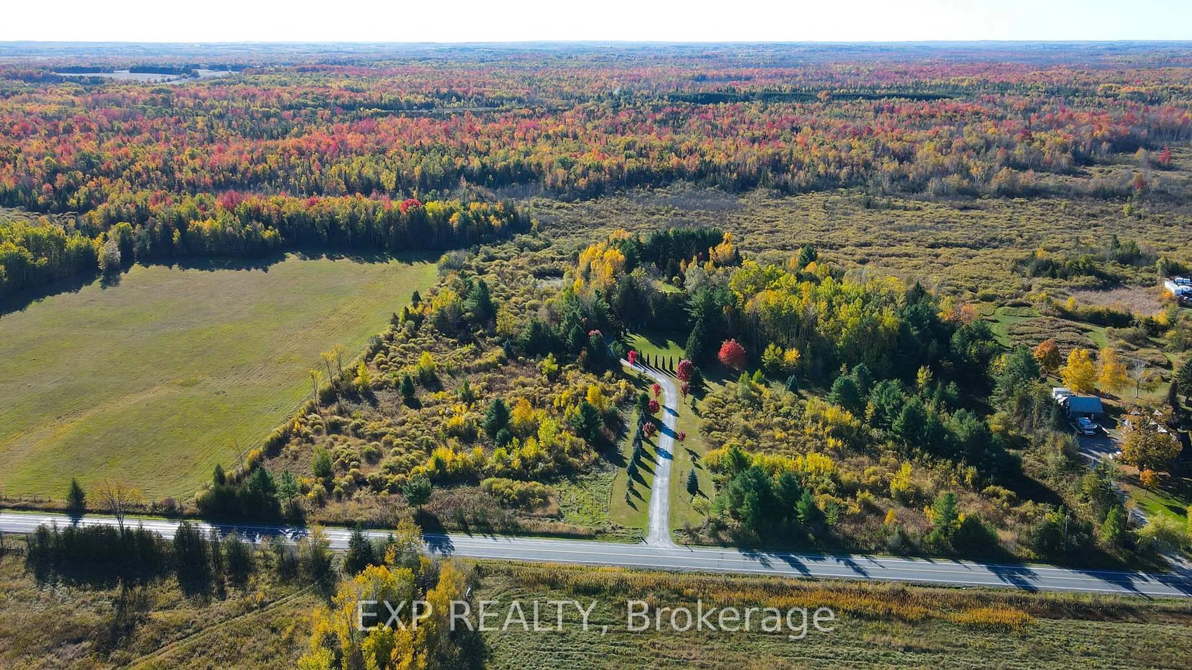 A pic from outside/outdoor area/front of a property/back of a property/a pic from drone, forest/trees view for 8327 Old Homestead Rd, Georgina Ontario L0E 1N0